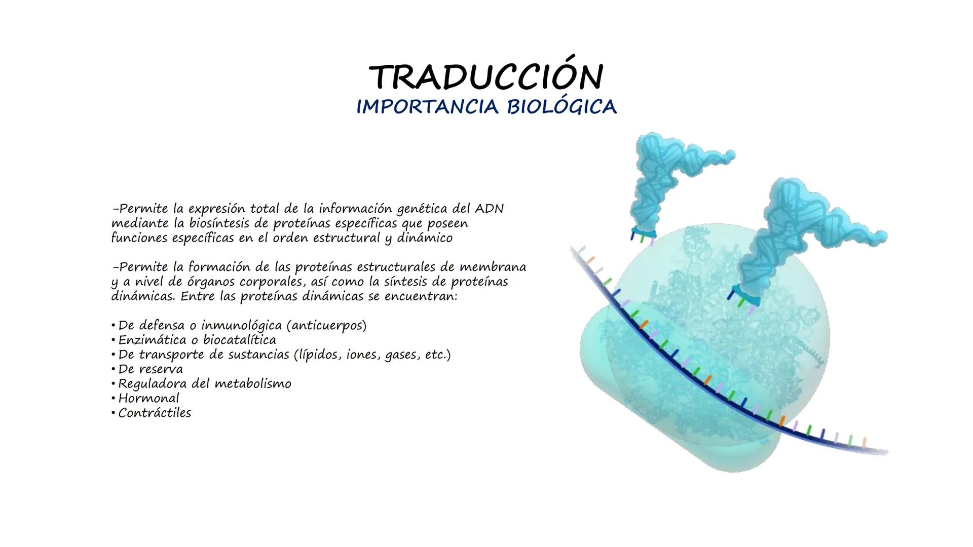 EAD
EDUCACIÓN ADVENTISTA A DISTANCIA
UNIVERSIDAD
PERUANA
UNIÓN

ESCUELA DE ENFERMERÍA

BIOLOGÍA
Y BIOQUÍMICA

UNIDAD 2: Genética molecular
S