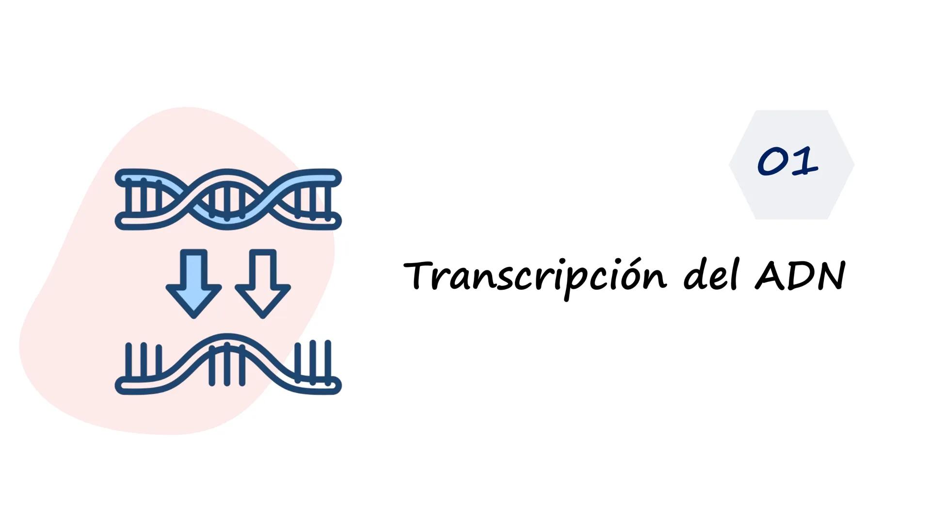 EAD
EDUCACIÓN ADVENTISTA A DISTANCIA
UNIVERSIDAD
PERUANA
UNIÓN

ESCUELA DE ENFERMERÍA

BIOLOGÍA
Y BIOQUÍMICA

UNIDAD 2: Genética molecular
S