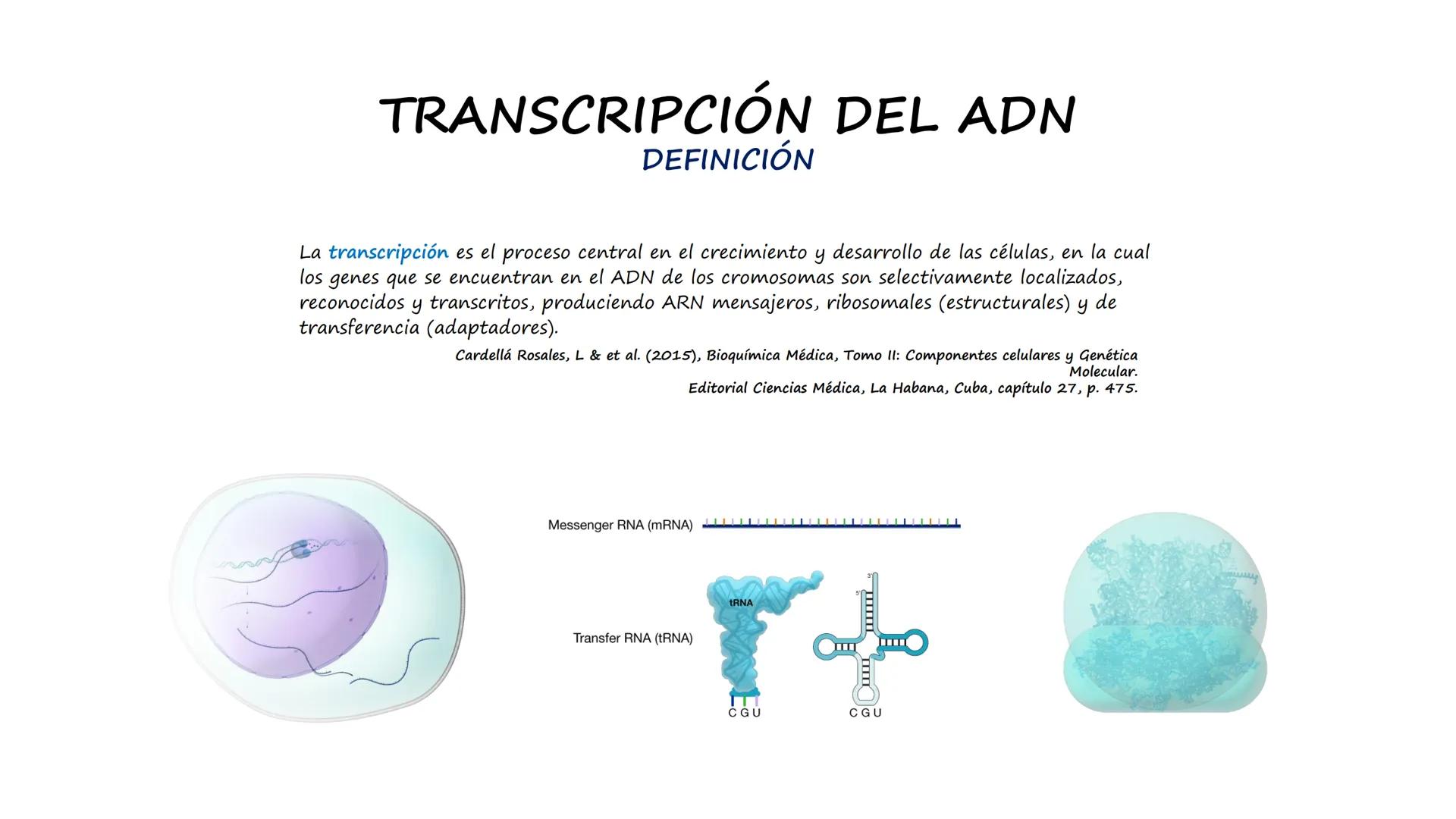 EAD
EDUCACIÓN ADVENTISTA A DISTANCIA
UNIVERSIDAD
PERUANA
UNIÓN

ESCUELA DE ENFERMERÍA

BIOLOGÍA
Y BIOQUÍMICA

UNIDAD 2: Genética molecular
S