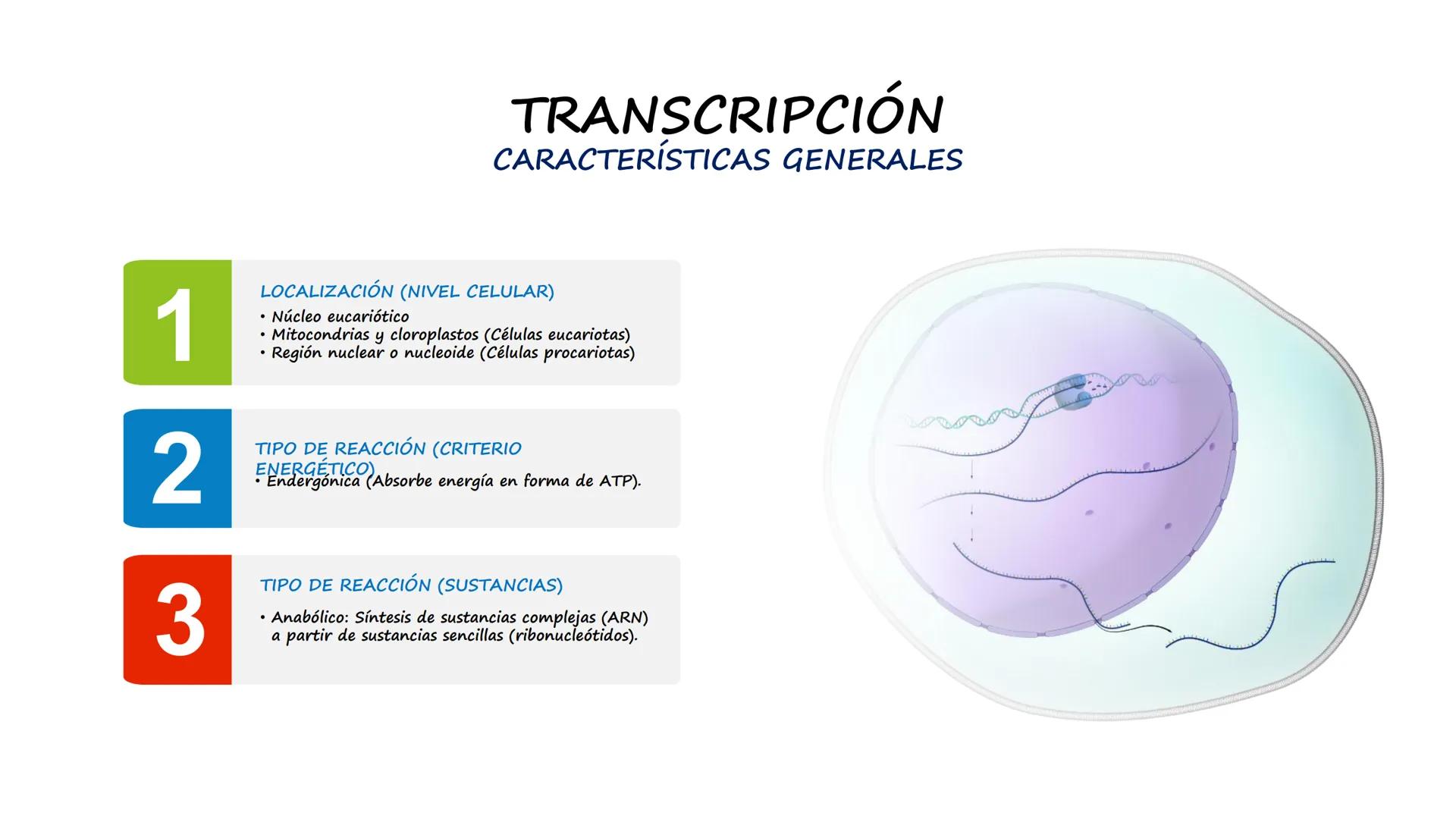 EAD
EDUCACIÓN ADVENTISTA A DISTANCIA
UNIVERSIDAD
PERUANA
UNIÓN

ESCUELA DE ENFERMERÍA

BIOLOGÍA
Y BIOQUÍMICA

UNIDAD 2: Genética molecular
S