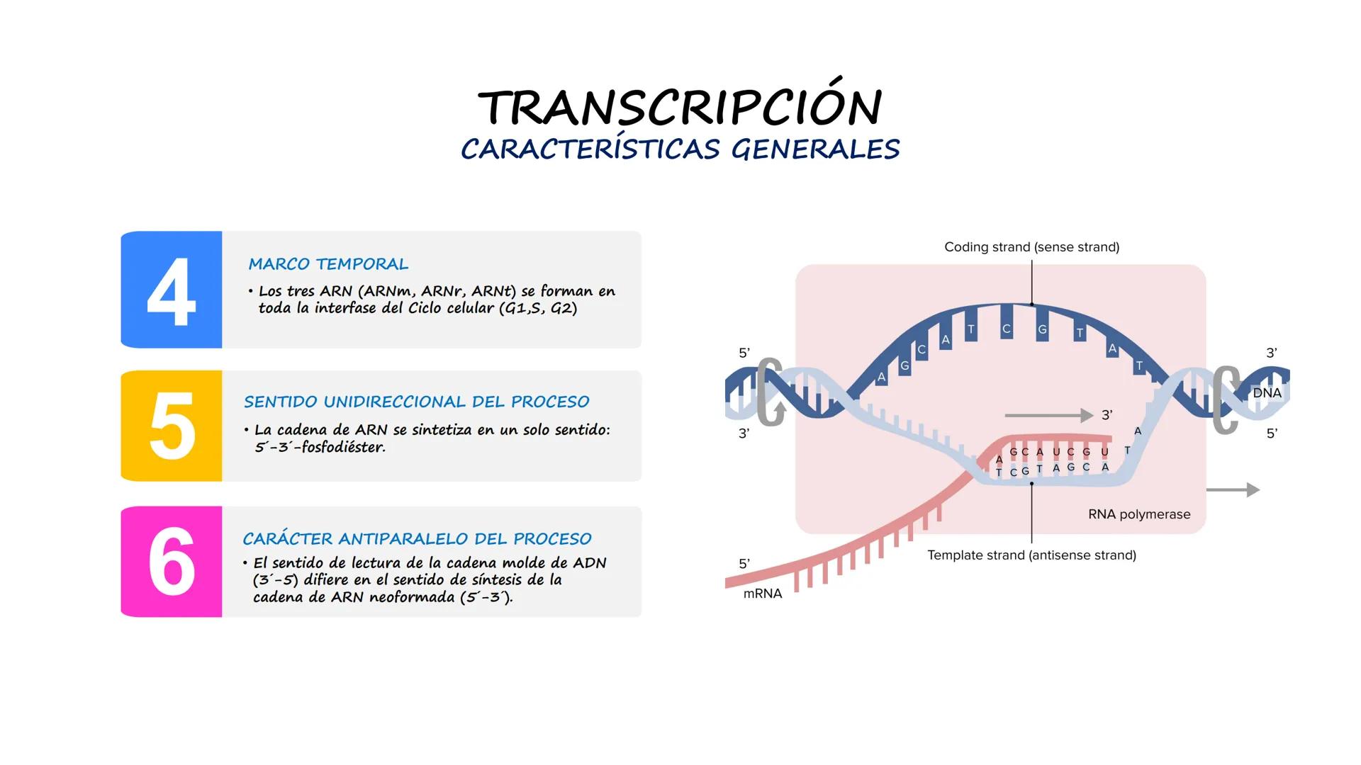 EAD
EDUCACIÓN ADVENTISTA A DISTANCIA
UNIVERSIDAD
PERUANA
UNIÓN

ESCUELA DE ENFERMERÍA

BIOLOGÍA
Y BIOQUÍMICA

UNIDAD 2: Genética molecular
S