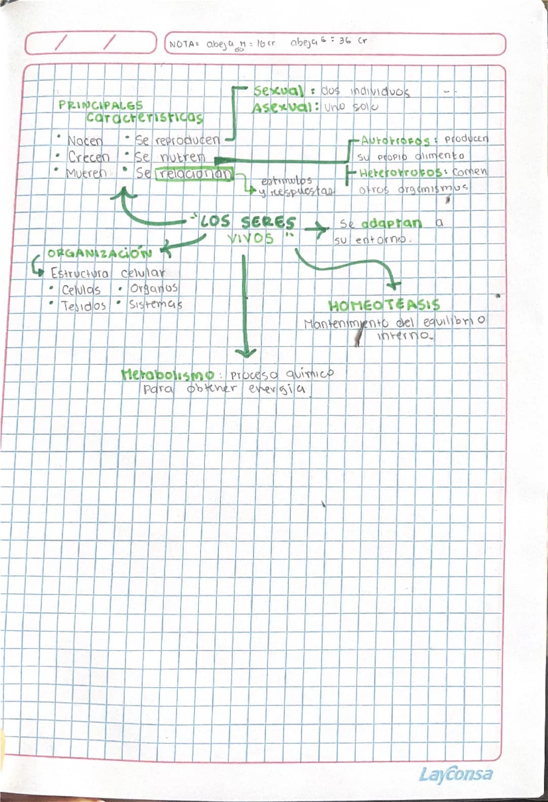 organizador visual de los seres vivos resumido