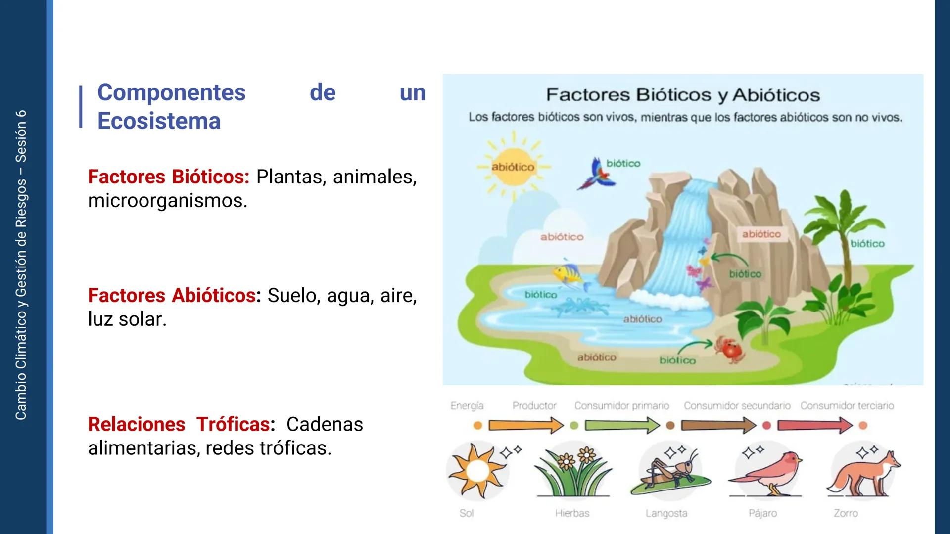 Pregrado
Facultad de
ciencias de la
salud

¡ÚNETE
contra la
COVID-19!

CAMBIO CLIMÁTICO
Y GESTIÓN DE
RIESGOS

Sesión 6

Tema:

Ecosistema y 