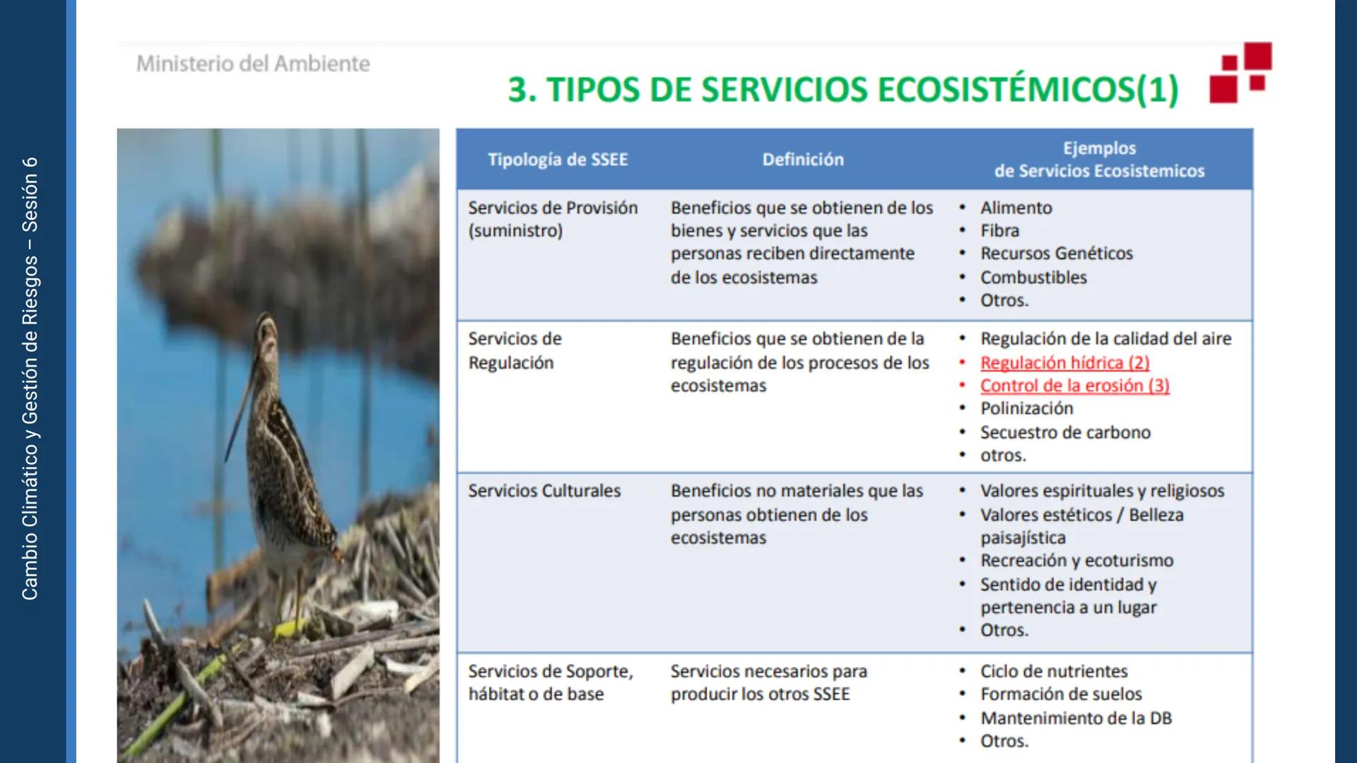 Pregrado
Facultad de
ciencias de la
salud

¡ÚNETE
contra la
COVID-19!

CAMBIO CLIMÁTICO
Y GESTIÓN DE
RIESGOS

Sesión 6

Tema:

Ecosistema y 