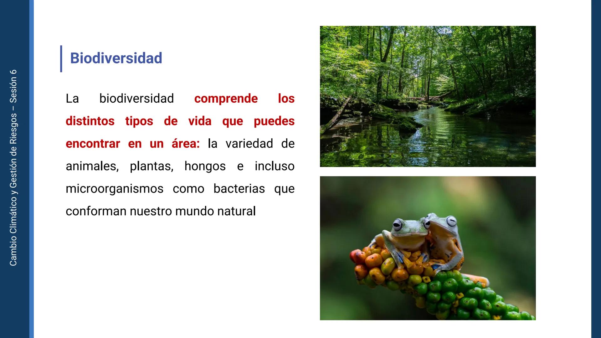 Pregrado
Facultad de
ciencias de la
salud

¡ÚNETE
contra la
COVID-19!

CAMBIO CLIMÁTICO
Y GESTIÓN DE
RIESGOS

Sesión 6

Tema:

Ecosistema y 