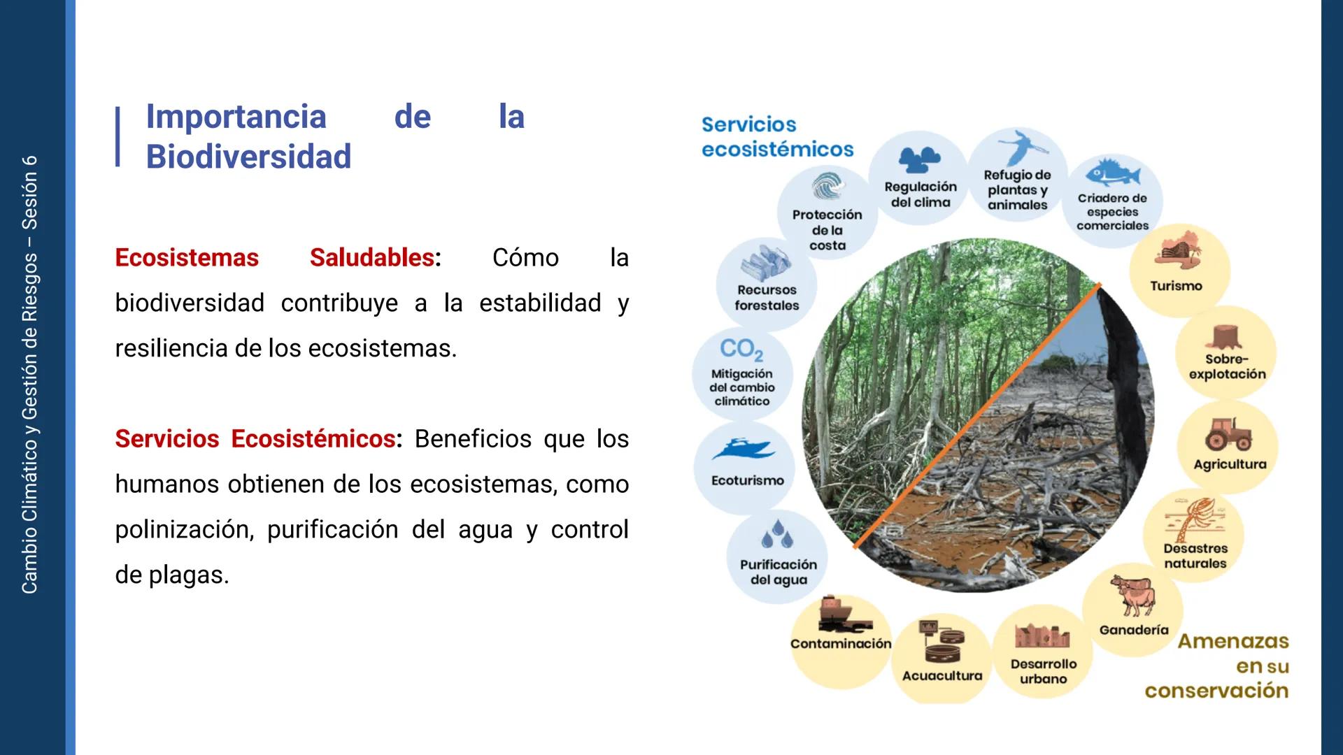 Pregrado
Facultad de
ciencias de la
salud

¡ÚNETE
contra la
COVID-19!

CAMBIO CLIMÁTICO
Y GESTIÓN DE
RIESGOS

Sesión 6

Tema:

Ecosistema y 