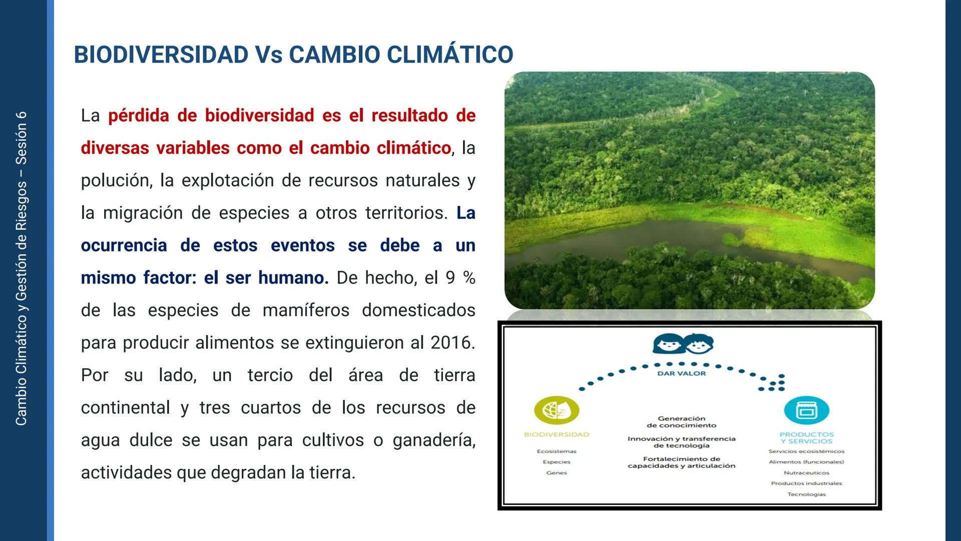 Pregrado
Facultad de
ciencias de la
salud

¡ÚNETE
contra la
COVID-19!

CAMBIO CLIMÁTICO
Y GESTIÓN DE
RIESGOS

Sesión 6

Tema:

Ecosistema y 
