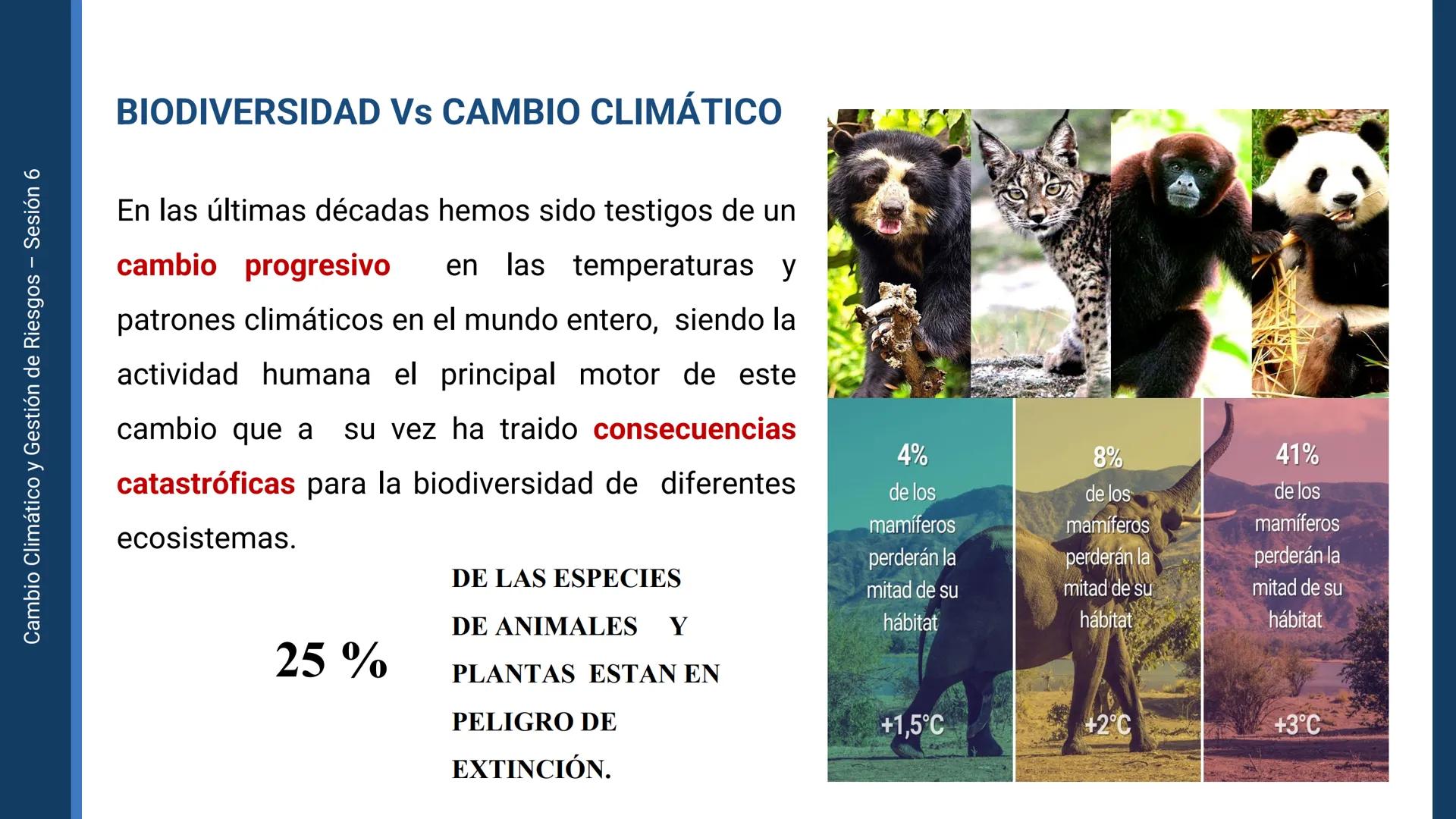 Pregrado
Facultad de
ciencias de la
salud

¡ÚNETE
contra la
COVID-19!

CAMBIO CLIMÁTICO
Y GESTIÓN DE
RIESGOS

Sesión 6

Tema:

Ecosistema y 