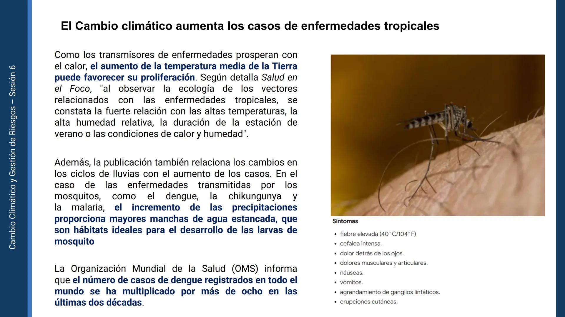 Pregrado
Facultad de
ciencias de la
salud

¡ÚNETE
contra la
COVID-19!

CAMBIO CLIMÁTICO
Y GESTIÓN DE
RIESGOS

Sesión 6

Tema:

Ecosistema y 