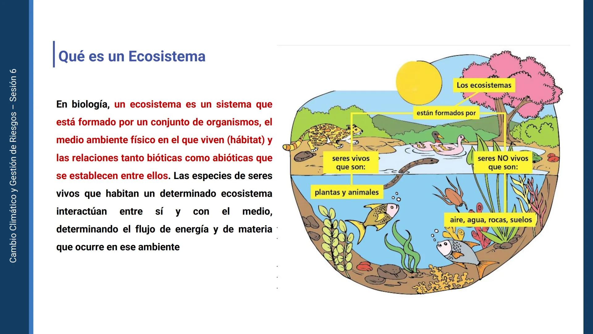 Pregrado
Facultad de
ciencias de la
salud

¡ÚNETE
contra la
COVID-19!

CAMBIO CLIMÁTICO
Y GESTIÓN DE
RIESGOS

Sesión 6

Tema:

Ecosistema y 