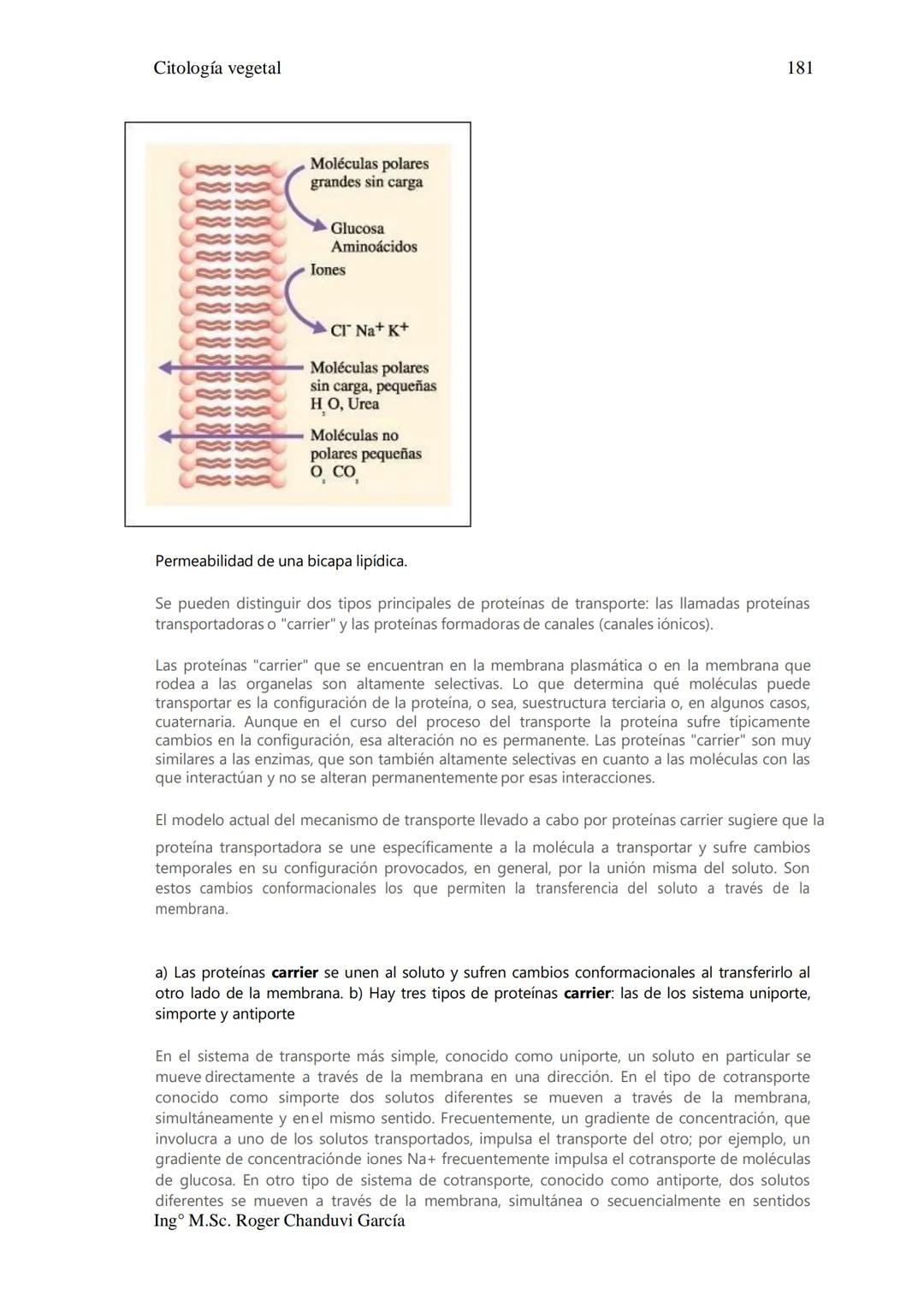 Citología Vegetal
UNIDAD II. MEMBRANA BIOLÓGICA
Las Membranas de la célula viva.
Fluido extracelular
Núcleo
Citoplasma-
Célula
Carbohidrato
