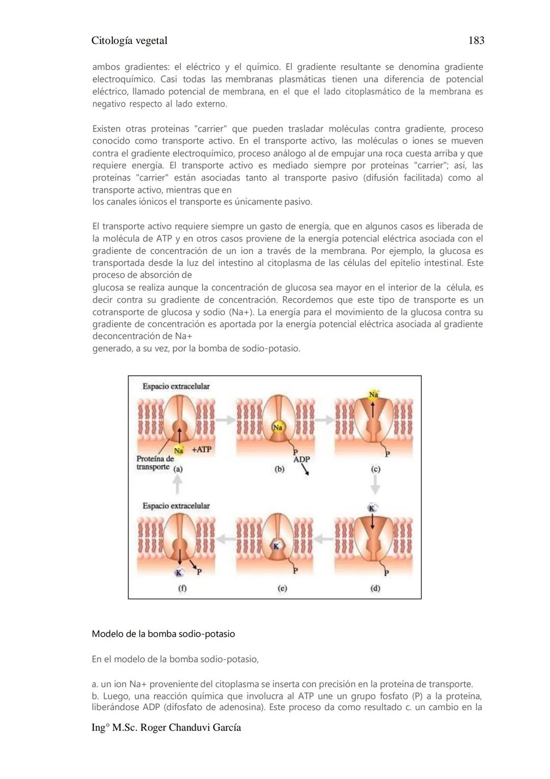 Citología Vegetal
UNIDAD II. MEMBRANA BIOLÓGICA
Las Membranas de la célula viva.
Fluido extracelular
Núcleo
Citoplasma-
Célula
Carbohidrato
