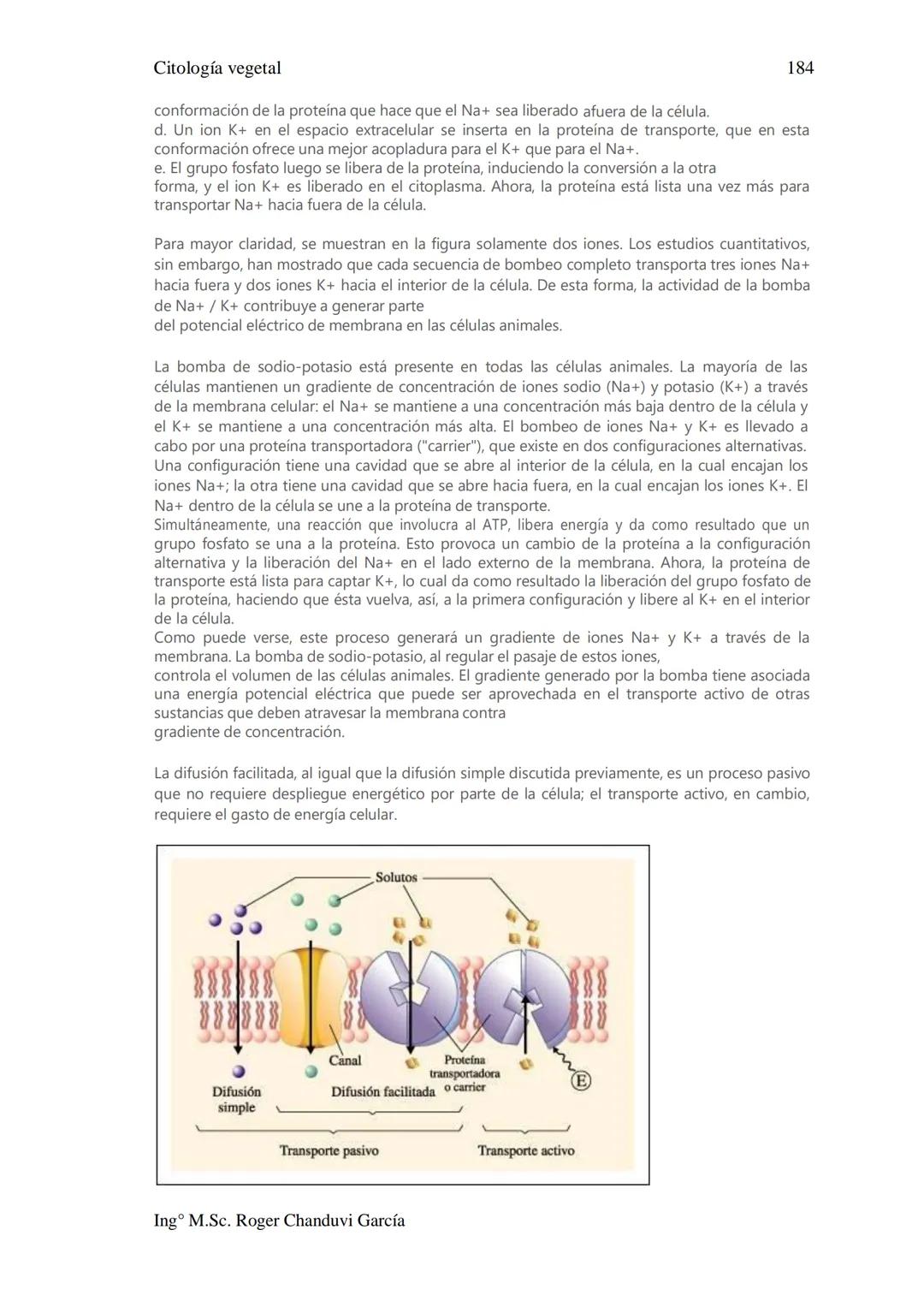Citología Vegetal
UNIDAD II. MEMBRANA BIOLÓGICA
Las Membranas de la célula viva.
Fluido extracelular
Núcleo
Citoplasma-
Célula
Carbohidrato
