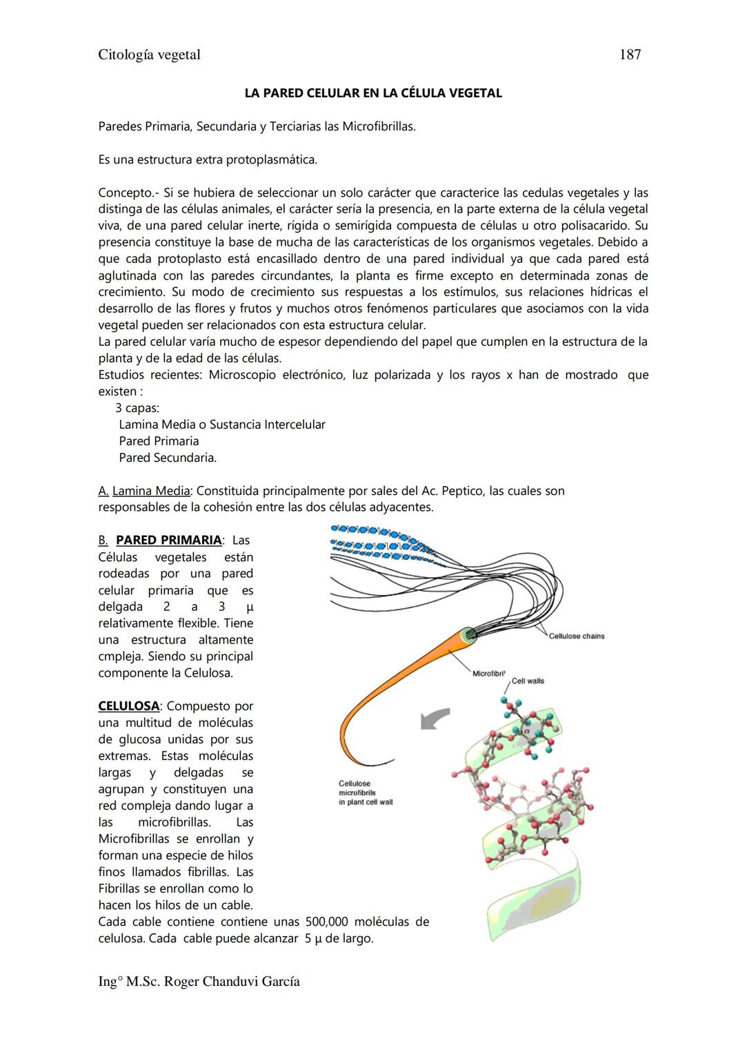 Citología Vegetal
UNIDAD II. MEMBRANA BIOLÓGICA
Las Membranas de la célula viva.
Fluido extracelular
Núcleo
Citoplasma-
Célula
Carbohidrato
