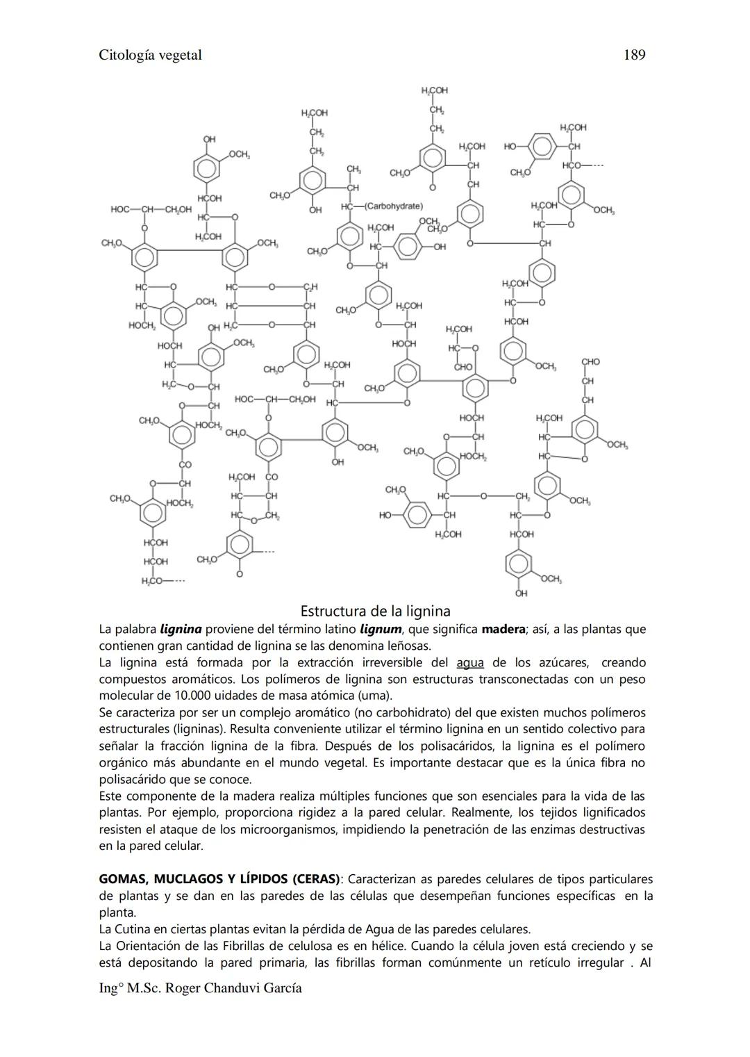 Citología Vegetal
UNIDAD II. MEMBRANA BIOLÓGICA
Las Membranas de la célula viva.
Fluido extracelular
Núcleo
Citoplasma-
Célula
Carbohidrato
