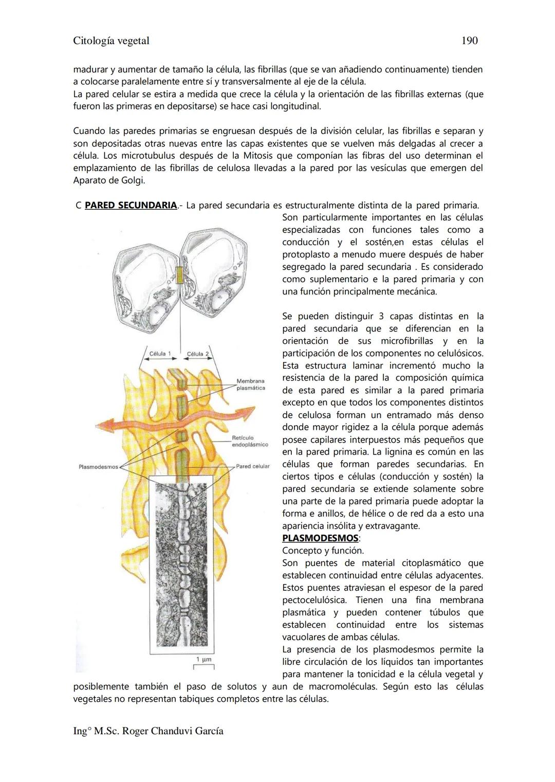 Citología Vegetal
UNIDAD II. MEMBRANA BIOLÓGICA
Las Membranas de la célula viva.
Fluido extracelular
Núcleo
Citoplasma-
Célula
Carbohidrato

