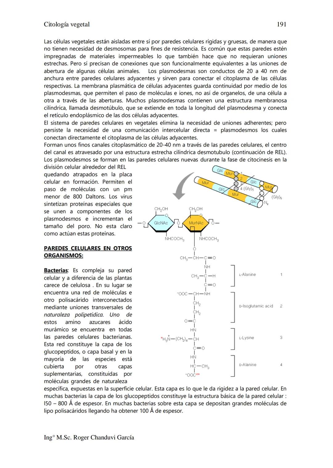 Citología Vegetal
UNIDAD II. MEMBRANA BIOLÓGICA
Las Membranas de la célula viva.
Fluido extracelular
Núcleo
Citoplasma-
Célula
Carbohidrato
