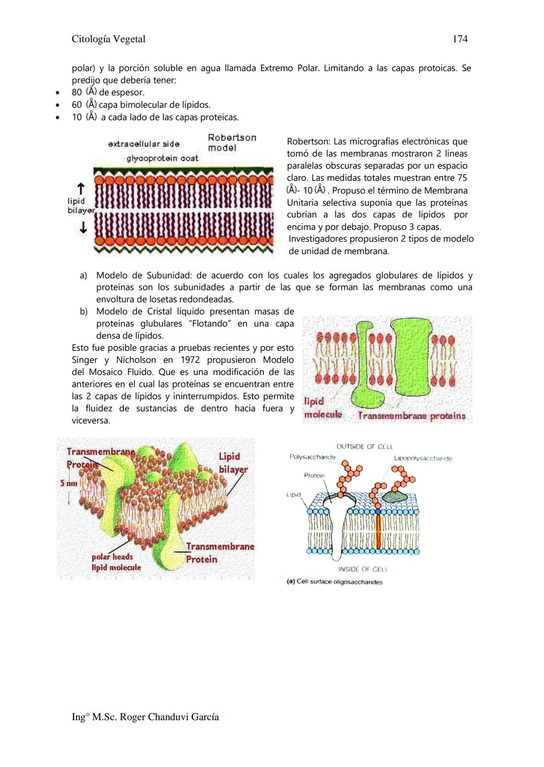 Citología Vegetal
UNIDAD II. MEMBRANA BIOLÓGICA
Las Membranas de la célula viva.
Fluido extracelular
Núcleo
Citoplasma-
Célula
Carbohidrato
