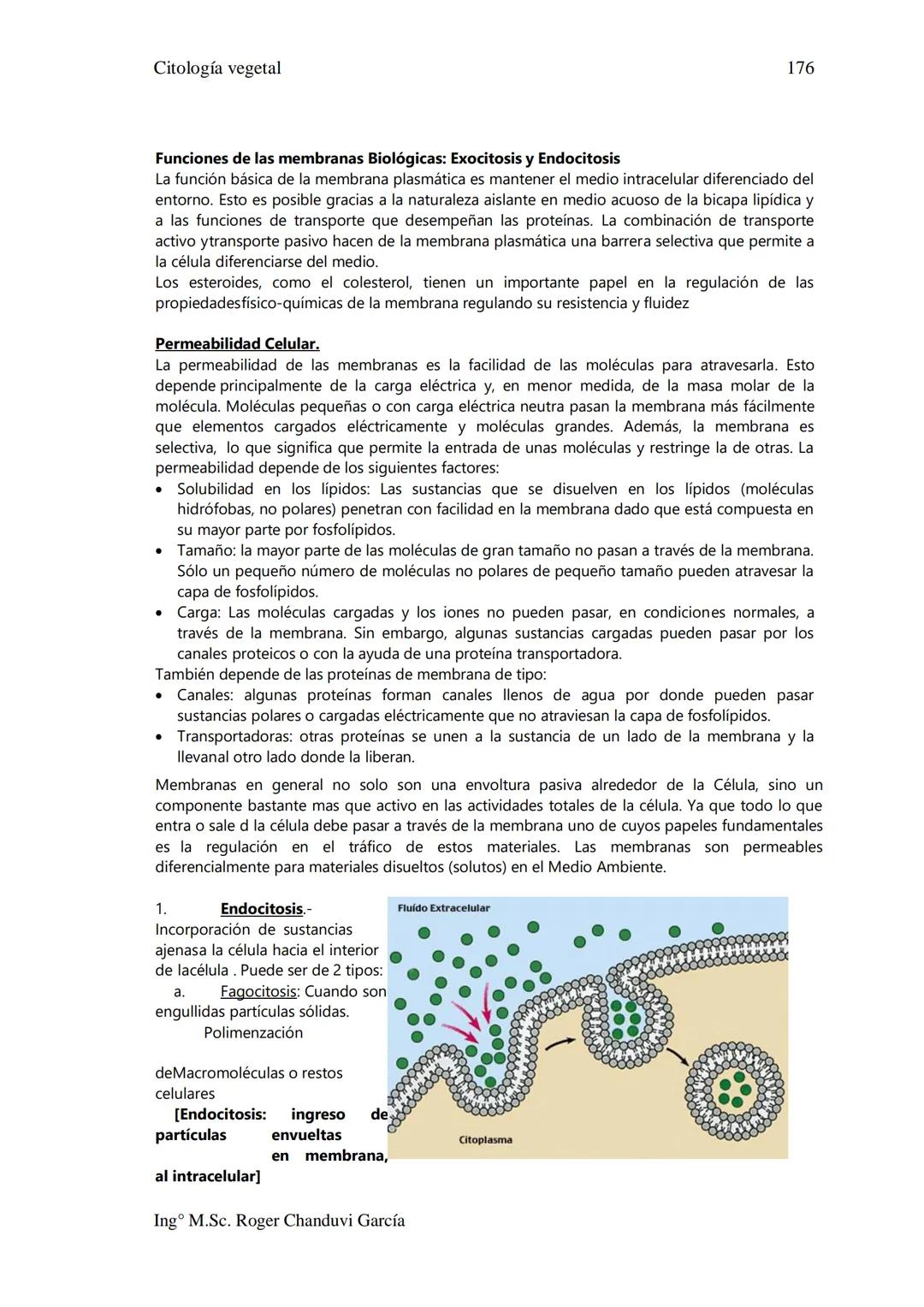 Citología Vegetal
UNIDAD II. MEMBRANA BIOLÓGICA
Las Membranas de la célula viva.
Fluido extracelular
Núcleo
Citoplasma-
Célula
Carbohidrato
