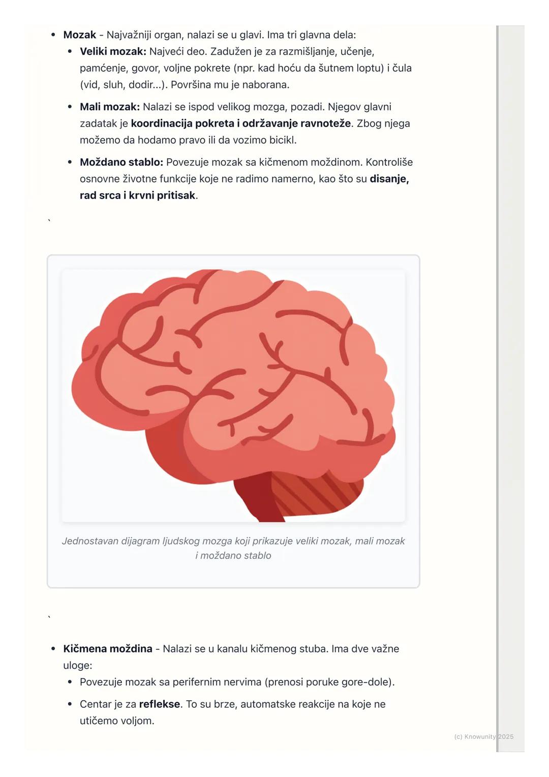 # Nervni sistem

Uvod u nervni sistem

Nervni sistem je najsloženiji sistem u našem telu. On je kao glavni kompjuter ili
komandni centar koj