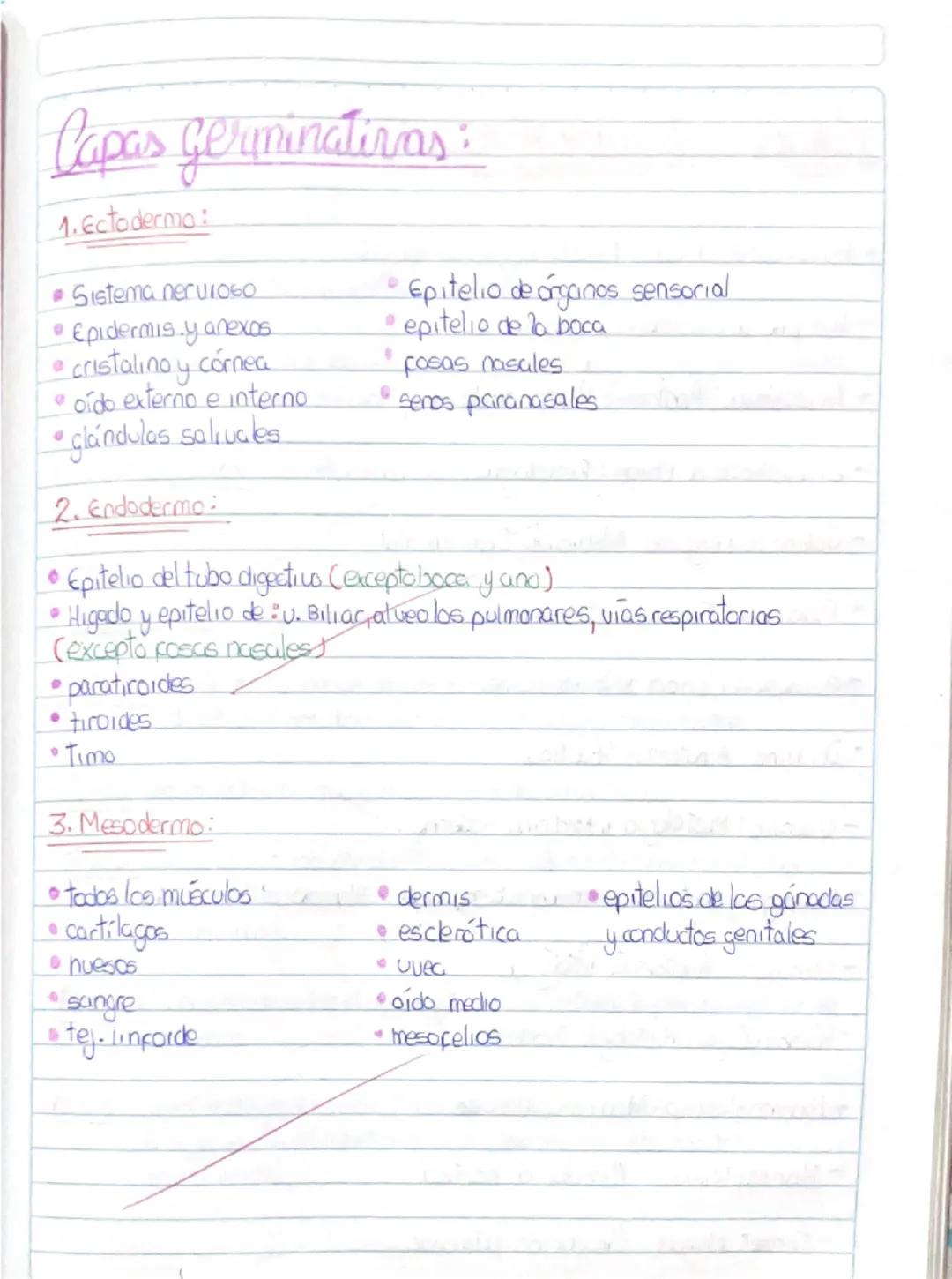## Genealogía Anatómica

División de la Anatomía:

* Anatomía Microscópica: Tejidos y células
* Anatomía Microscópica: órganos y estructuras