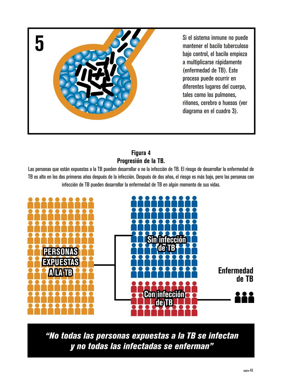 Generalidades sobre la tuberculosis
La tuberculosis (TB) es una enfermedad causada por un or-
ganismo denominado Mycobacterium tuberculosis 