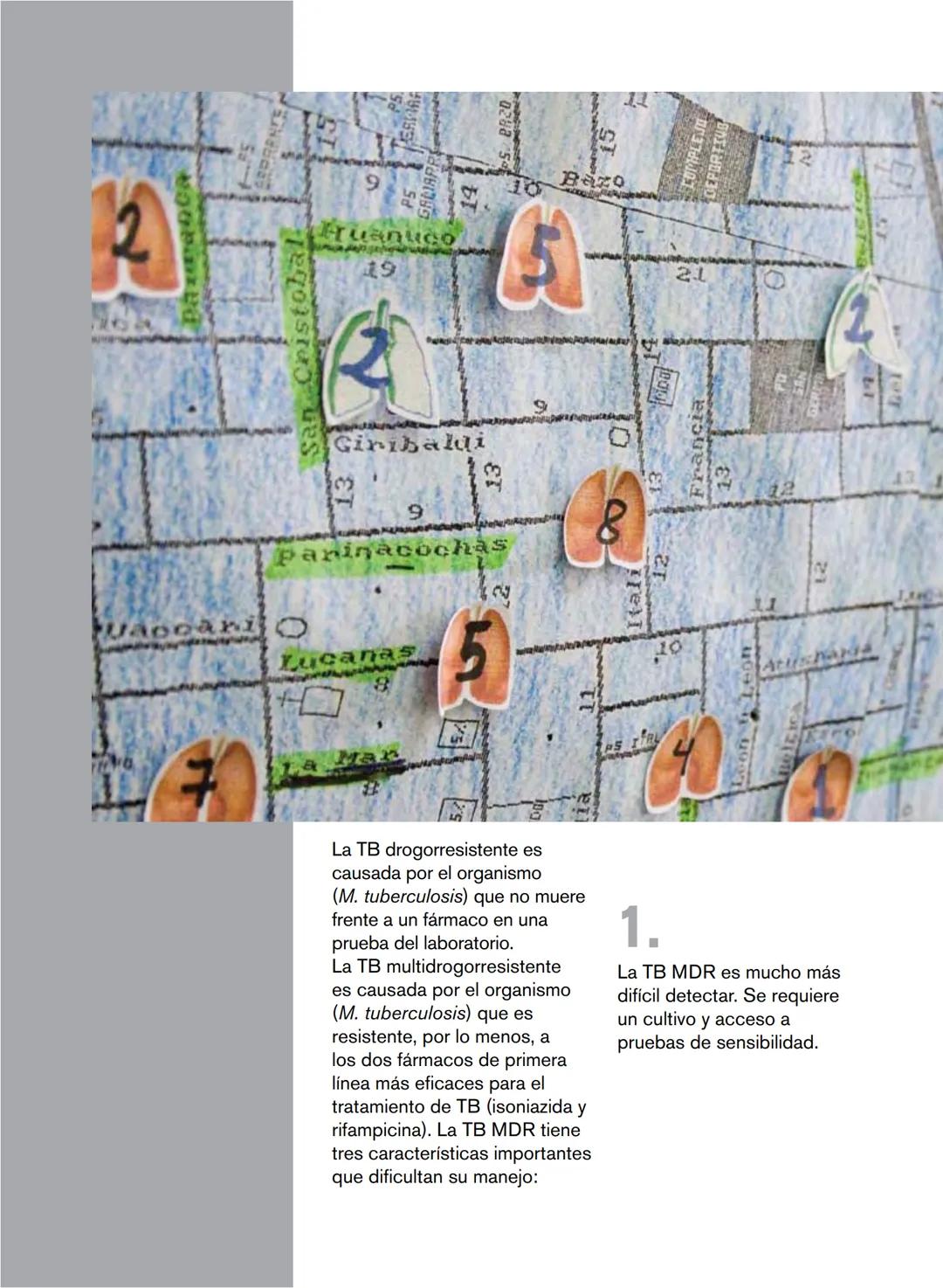 Generalidades sobre la tuberculosis
La tuberculosis (TB) es una enfermedad causada por un or-
ganismo denominado Mycobacterium tuberculosis 