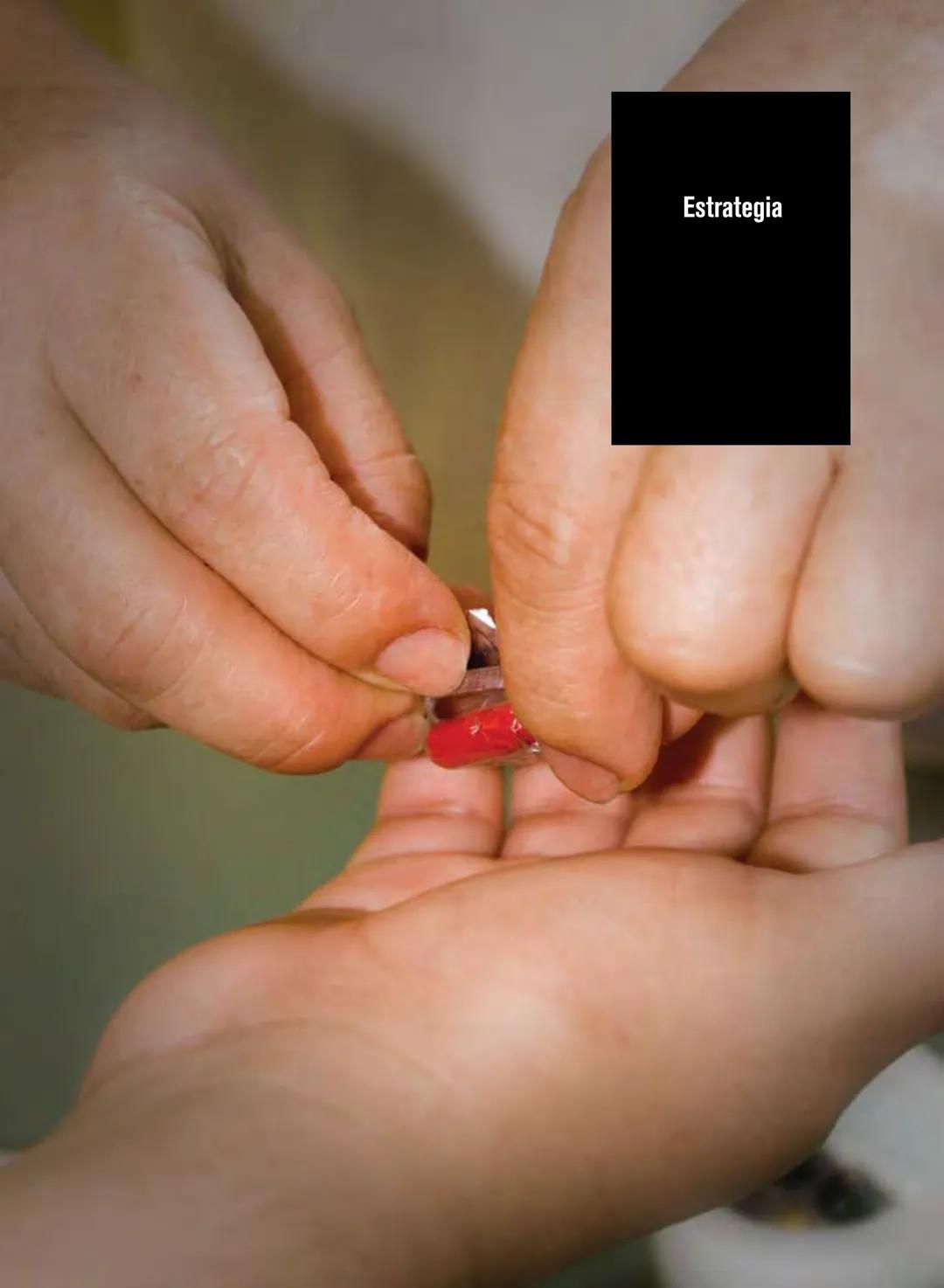 Generalidades sobre la tuberculosis
La tuberculosis (TB) es una enfermedad causada por un or-
ganismo denominado Mycobacterium tuberculosis 