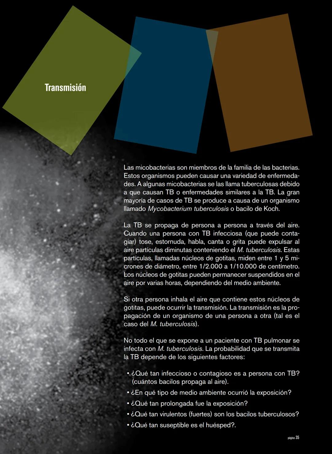Generalidades sobre la tuberculosis
La tuberculosis (TB) es una enfermedad causada por un or-
ganismo denominado Mycobacterium tuberculosis 