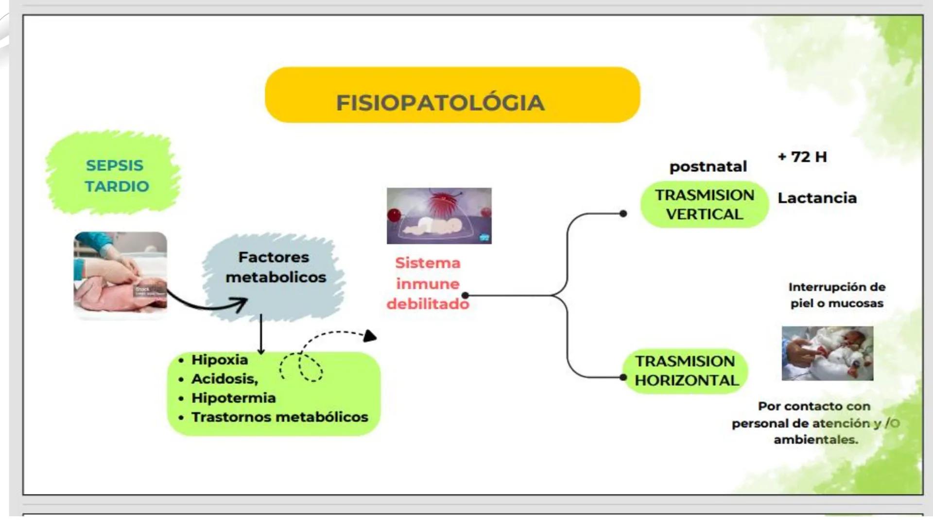 # USS

Universidad
Señor de Sipán

CURSO: CUIDADO HUMANIZADO AL NIÑO Y ADOLESCENTE II

# TEMA 06: CUIDADOS DE ENFERMERIA AL
# NEONATO CON SE