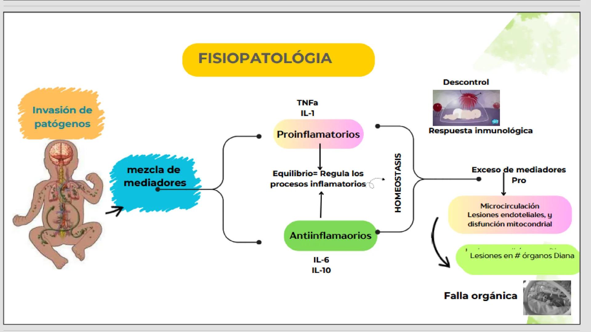 # USS

Universidad
Señor de Sipán

CURSO: CUIDADO HUMANIZADO AL NIÑO Y ADOLESCENTE II

# TEMA 06: CUIDADOS DE ENFERMERIA AL
# NEONATO CON SE