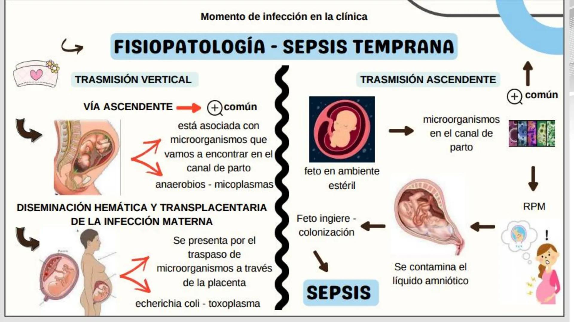 # USS

Universidad
Señor de Sipán

CURSO: CUIDADO HUMANIZADO AL NIÑO Y ADOLESCENTE II

# TEMA 06: CUIDADOS DE ENFERMERIA AL
# NEONATO CON SE