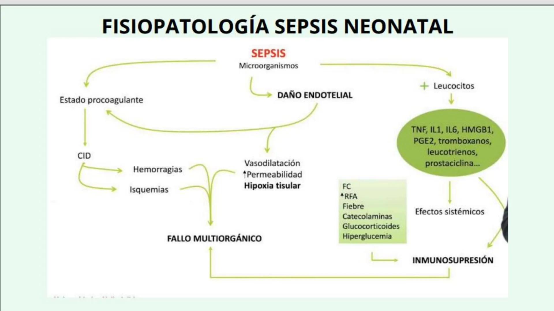 # USS

Universidad
Señor de Sipán

CURSO: CUIDADO HUMANIZADO AL NIÑO Y ADOLESCENTE II

# TEMA 06: CUIDADOS DE ENFERMERIA AL
# NEONATO CON SE