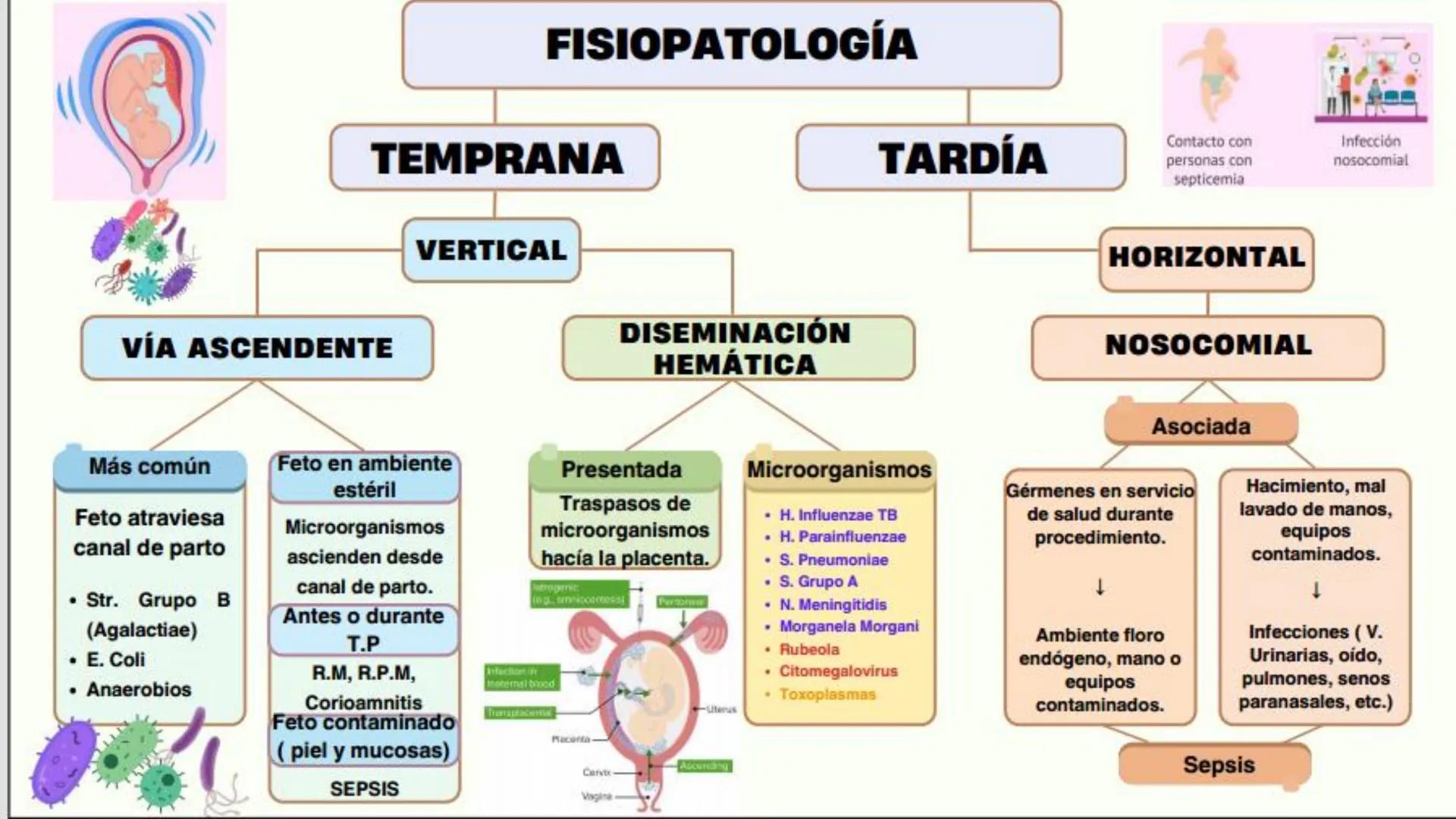 # USS

Universidad
Señor de Sipán

CURSO: CUIDADO HUMANIZADO AL NIÑO Y ADOLESCENTE II

# TEMA 06: CUIDADOS DE ENFERMERIA AL
# NEONATO CON SE
