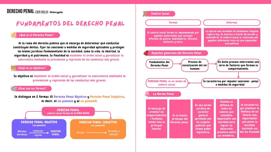 Conceptos Clave del Derecho Penal - Guía de Estudio