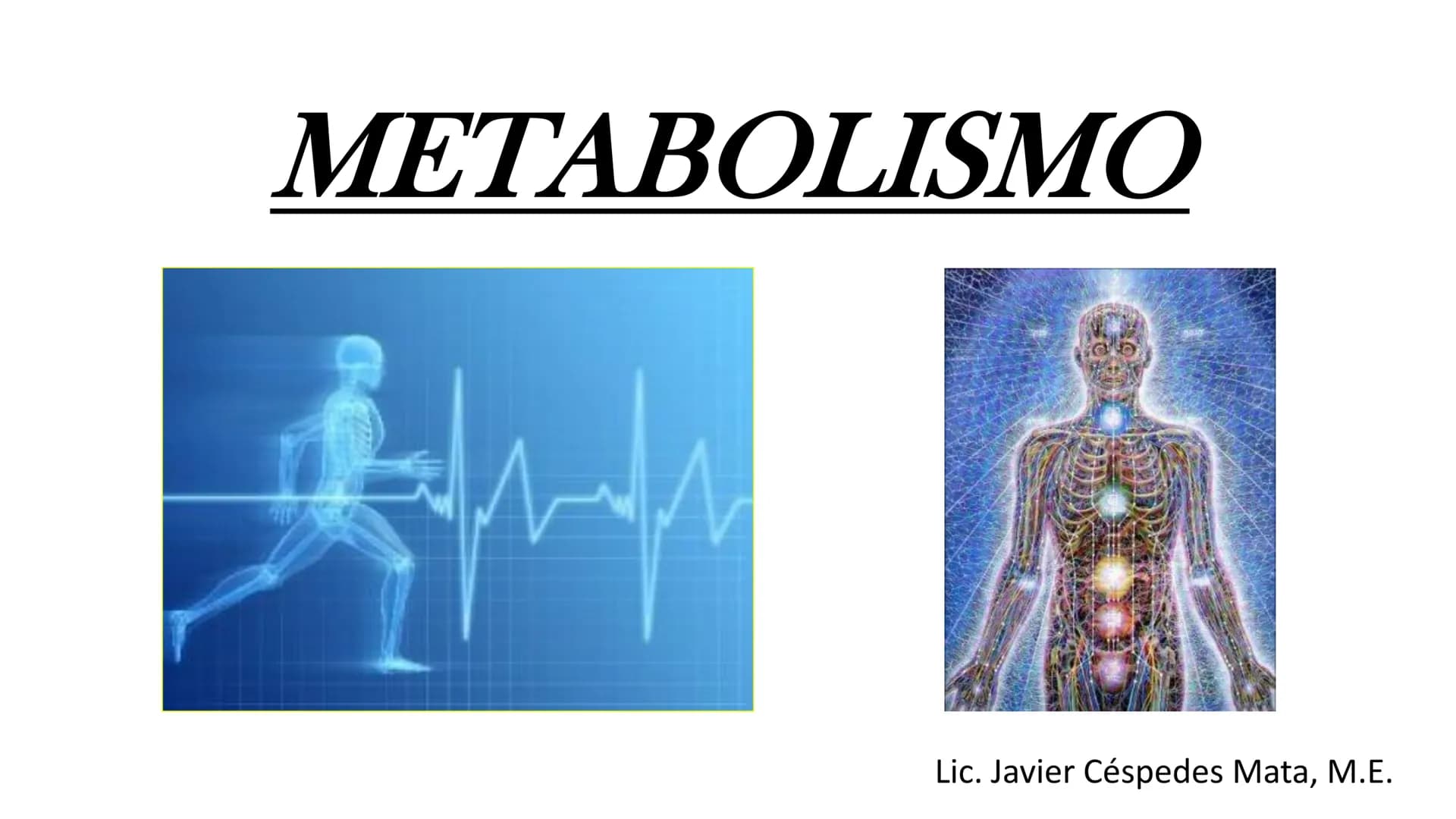 # METABOLISMO

Lic. Javier Céspedes Mata, M.E. Metabolismo
Metabolismo basal
www.botanical-online.com
Concepto: Describe el total
de cambios