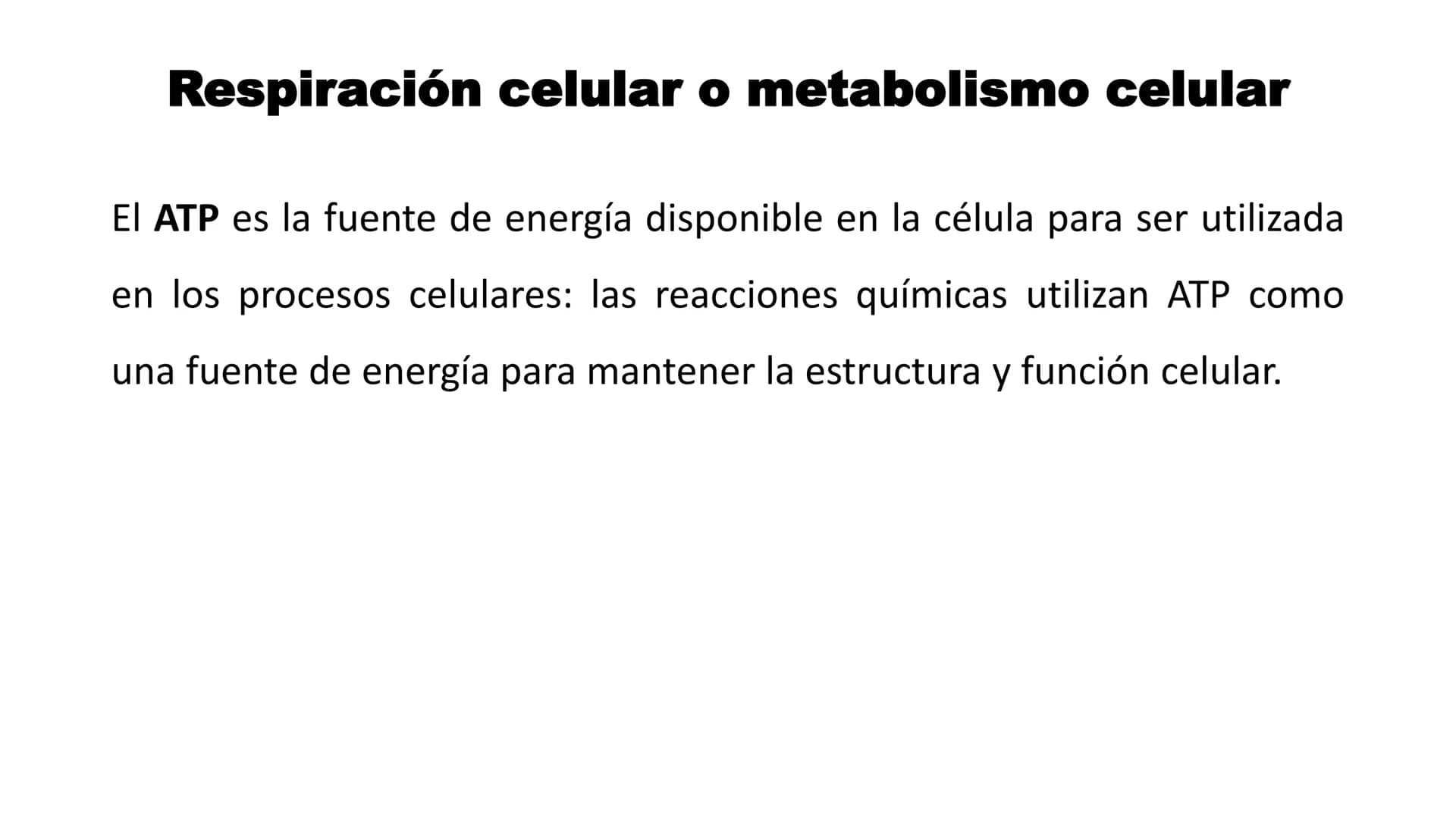 # METABOLISMO

Lic. Javier Céspedes Mata, M.E. Metabolismo
Metabolismo basal
www.botanical-online.com
Concepto: Describe el total
de cambios