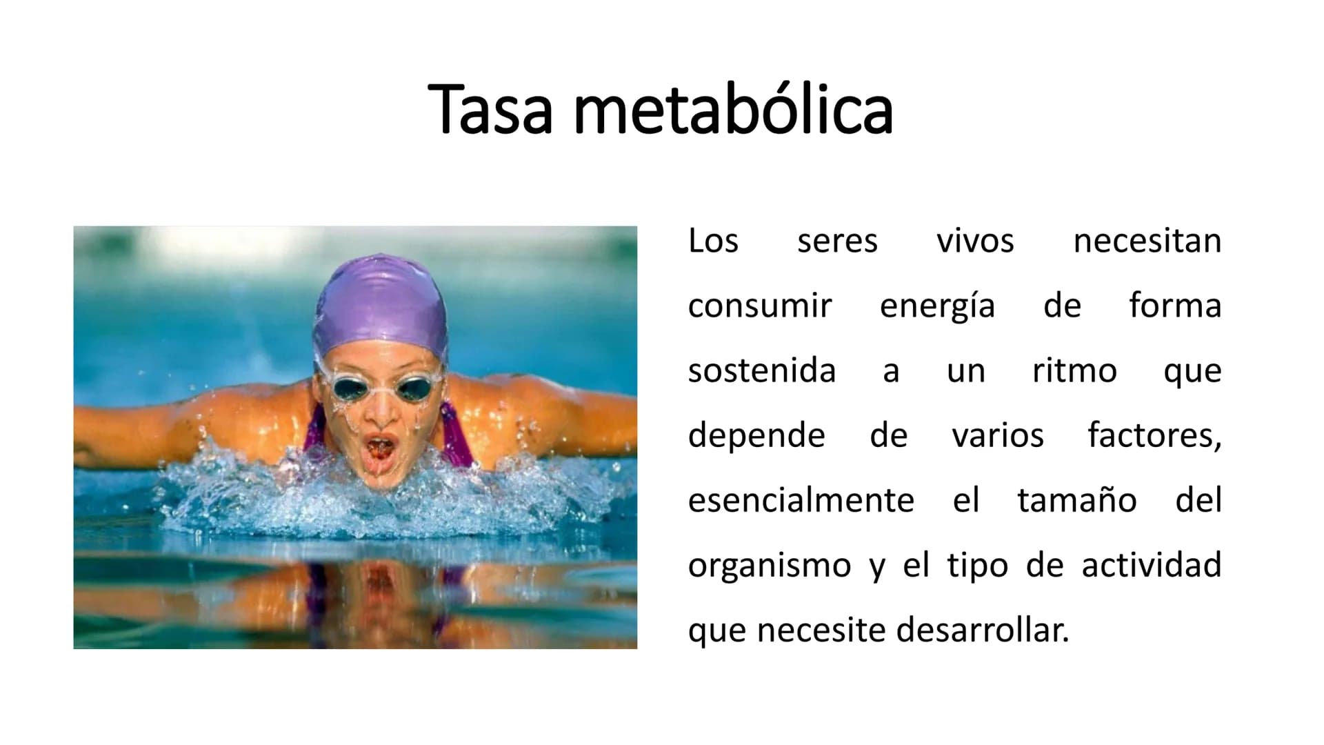 # METABOLISMO

Lic. Javier Céspedes Mata, M.E. Metabolismo
Metabolismo basal
www.botanical-online.com
Concepto: Describe el total
de cambios