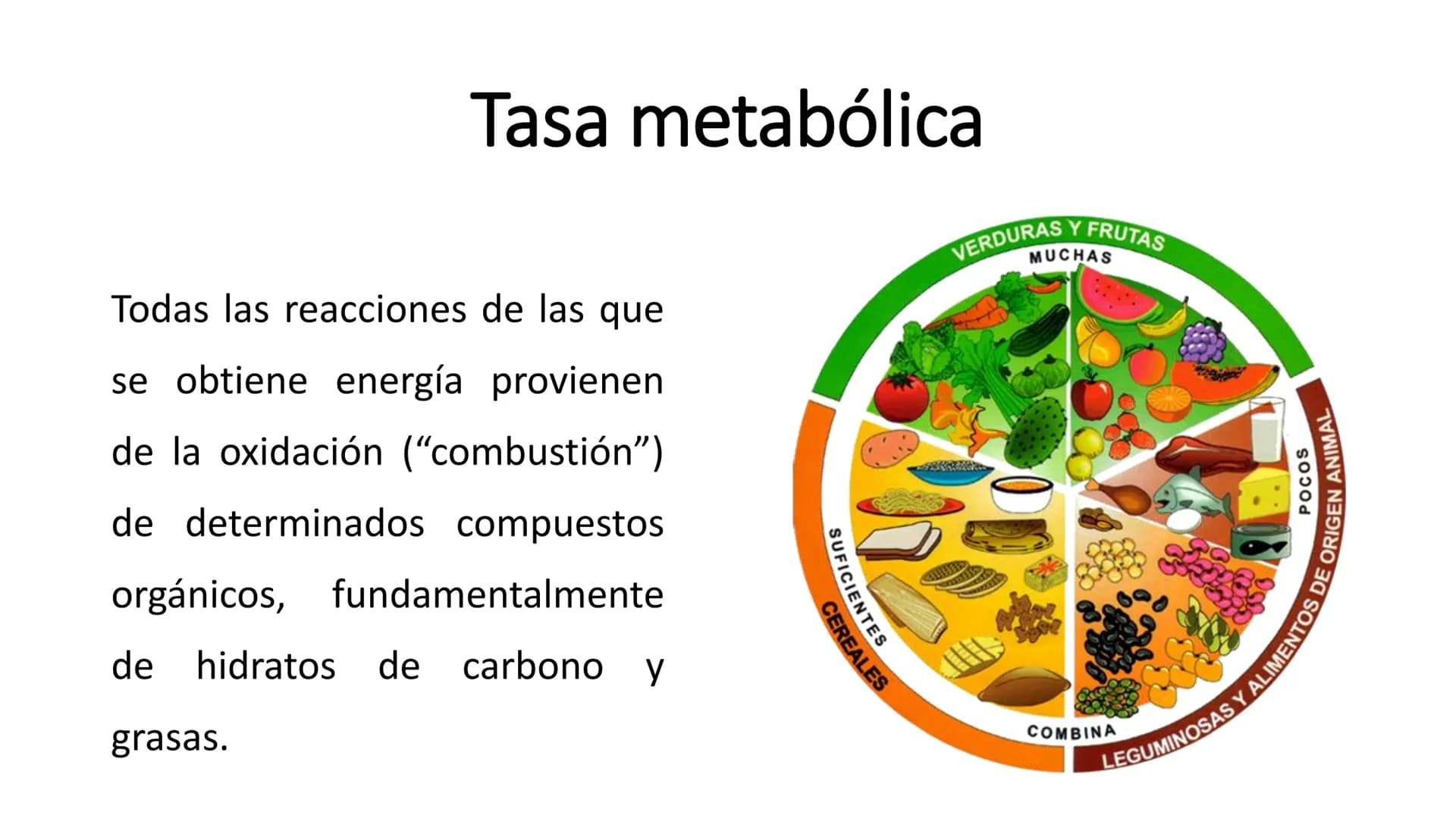 # METABOLISMO

Lic. Javier Céspedes Mata, M.E. Metabolismo
Metabolismo basal
www.botanical-online.com
Concepto: Describe el total
de cambios