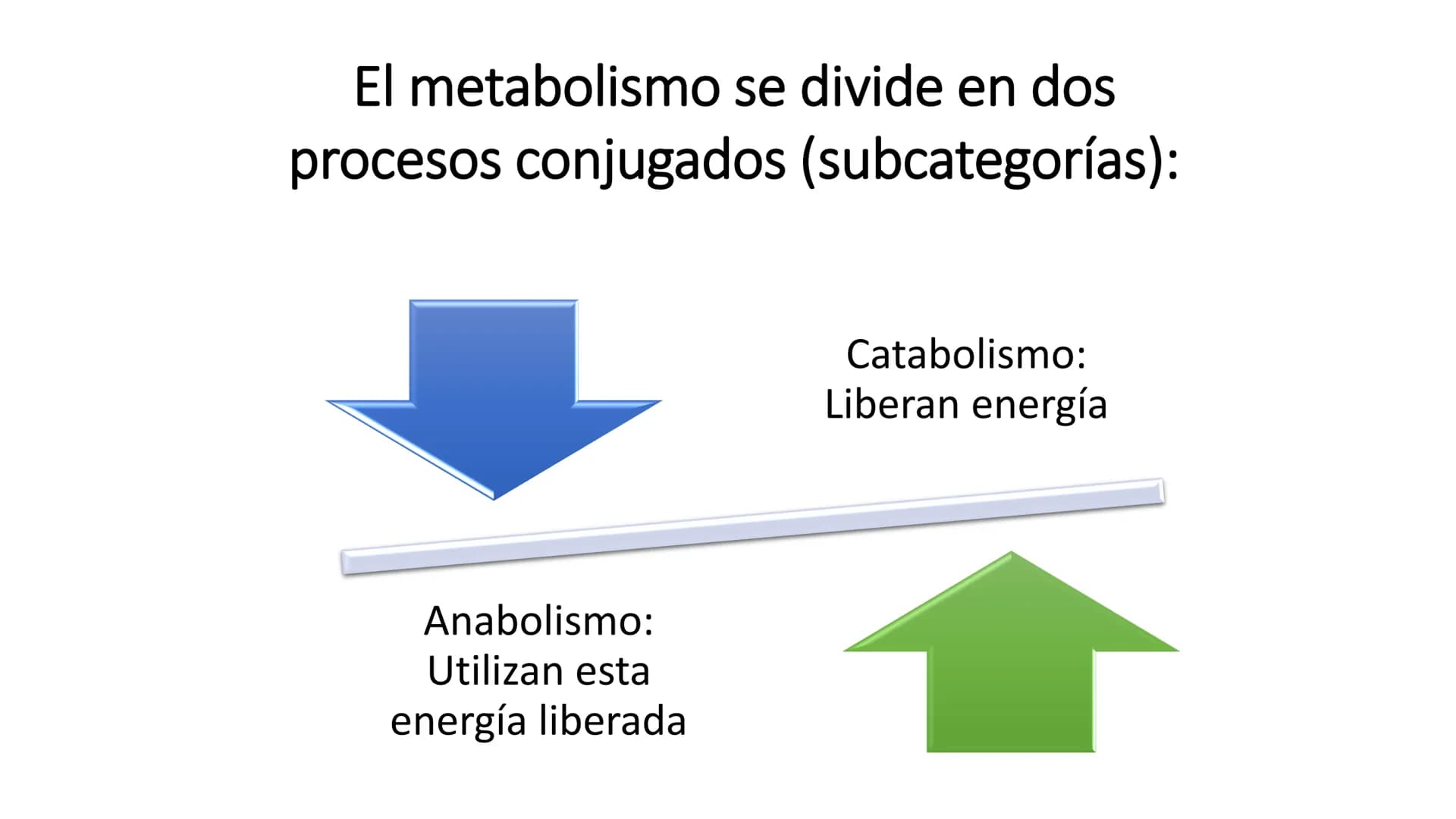 # METABOLISMO

Lic. Javier Céspedes Mata, M.E. Metabolismo
Metabolismo basal
www.botanical-online.com
Concepto: Describe el total
de cambios