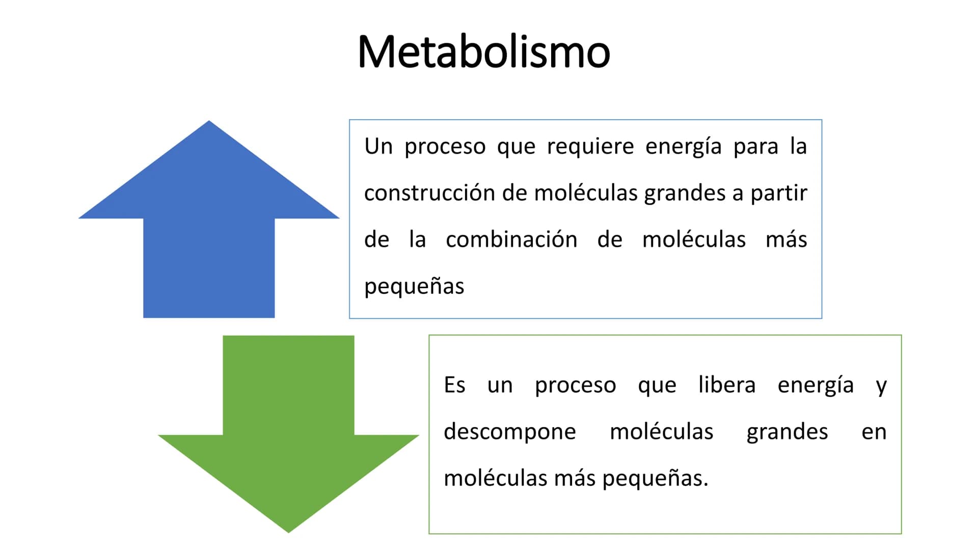 # METABOLISMO

Lic. Javier Céspedes Mata, M.E. Metabolismo
Metabolismo basal
www.botanical-online.com
Concepto: Describe el total
de cambios