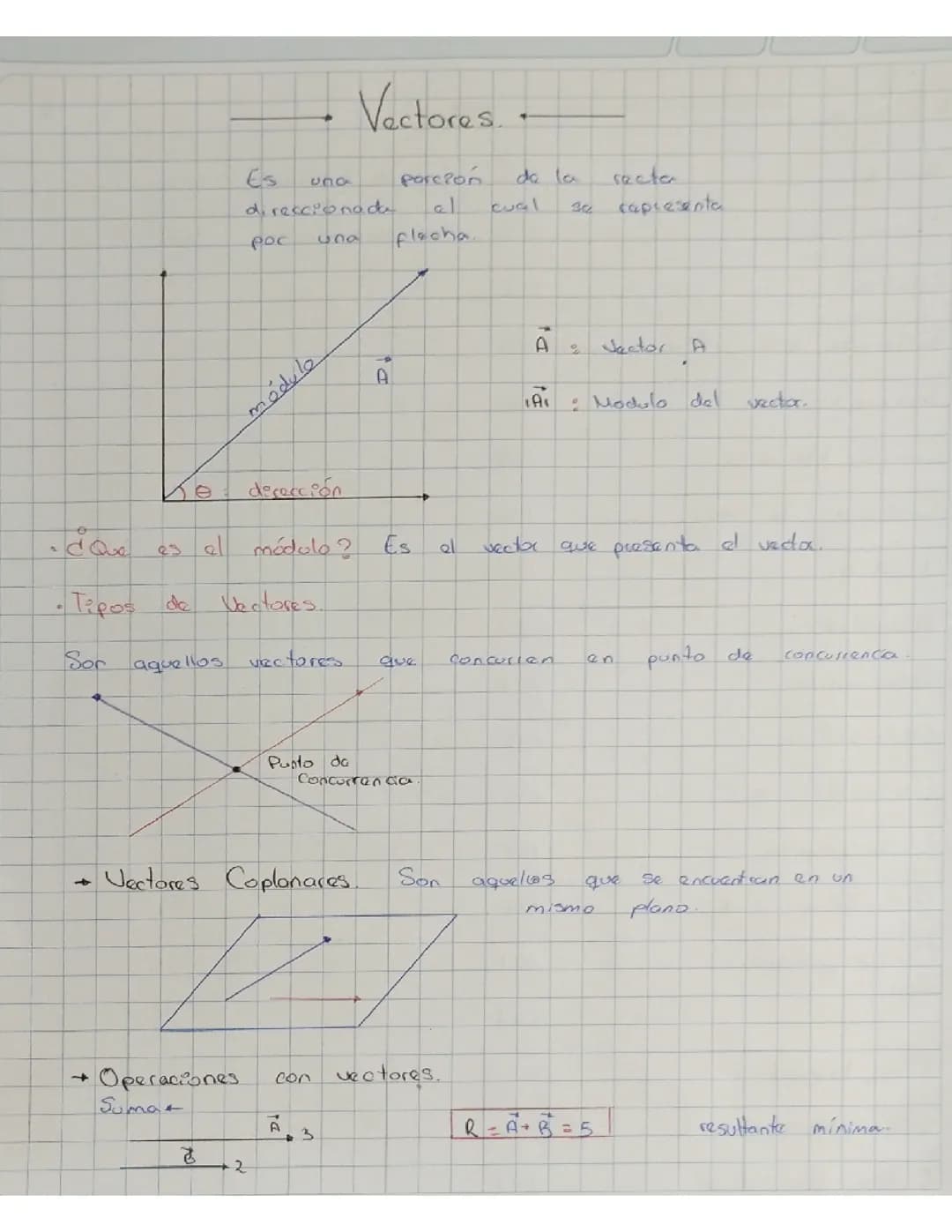 Vectores 