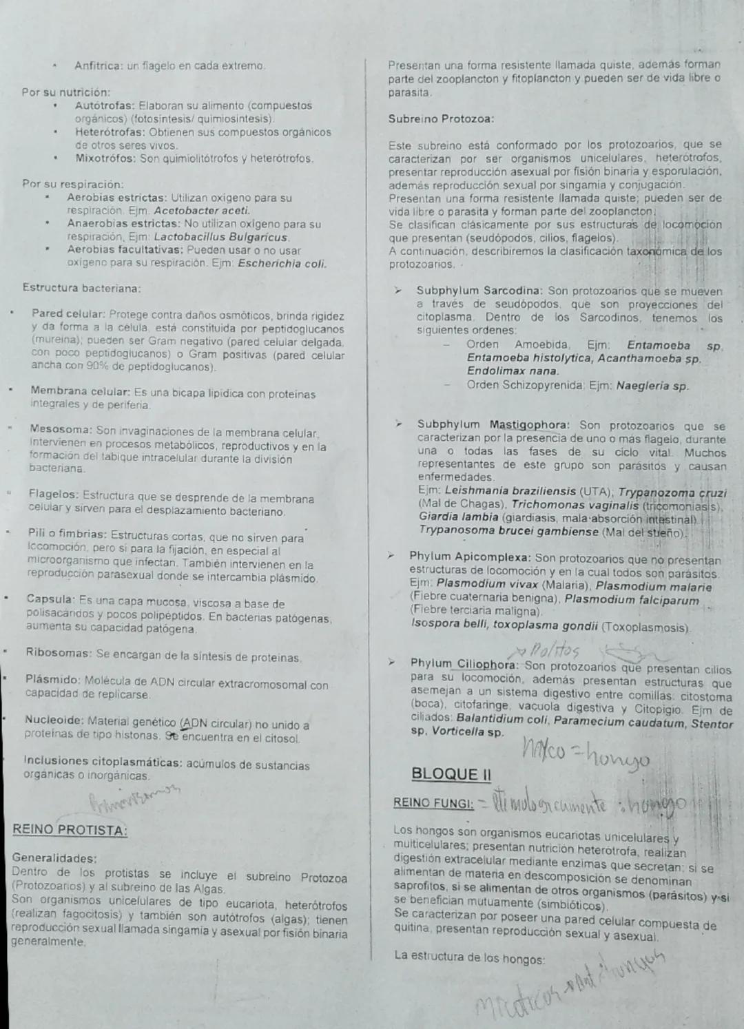 Clase 14
# Academia Pre Universitaria
08-82-25
# "JEAN PIAGET"

### TEMA: DIVISIÓN DEL MUNDO VIVO - REINO MONERA, PROTISTA, FUNGI, PLANTAE

