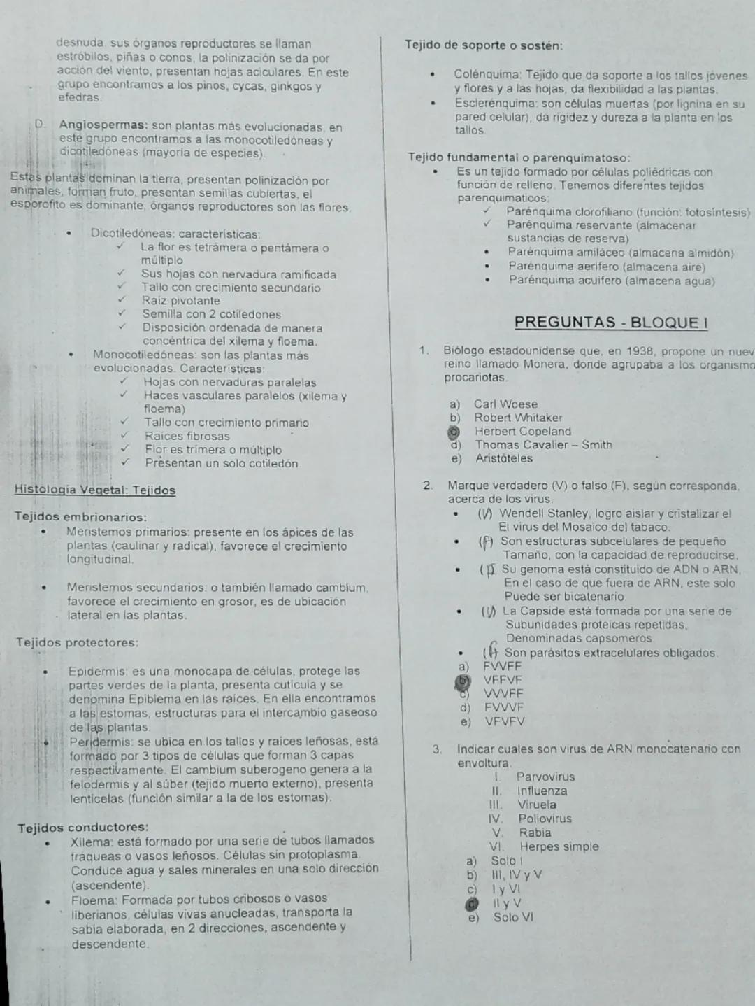 Clase 14
# Academia Pre Universitaria
08-82-25
# "JEAN PIAGET"

### TEMA: DIVISIÓN DEL MUNDO VIVO - REINO MONERA, PROTISTA, FUNGI, PLANTAE

