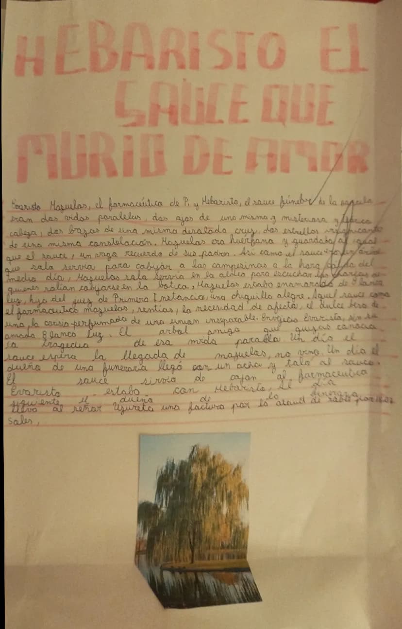 HEBARISTO EL
SAUCE QUE
MURIO DE AMER
Evaristo Maquelas, el farmaceutica de P. of Mebaristo, el sauce funebre de la sagaida,
13 misteriosa y 