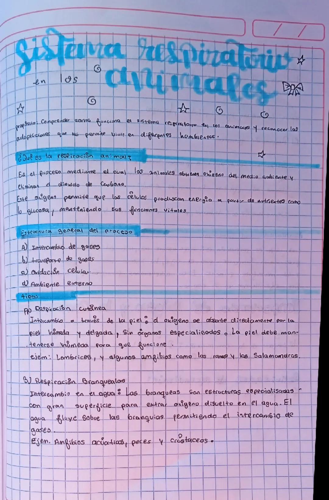# Sistema respiratoriv

avurmales

en

os

G

propostia: Comprender como funciona el sistema respiratore en los animales y seconocer las

ad
