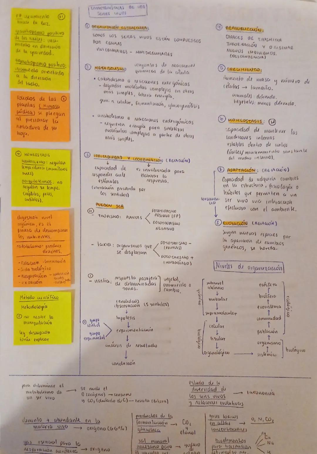 # INTRODUCCIÓN

A LA BIOLOGIA

DEFINICIÓN
FORMULADO POR BOTTO FRIEDRICH
TREVIRANUS Y JEAN BAPTISTE LAMARCK
EN 1802.

BIO = VIDA
LOGOS = ESTU