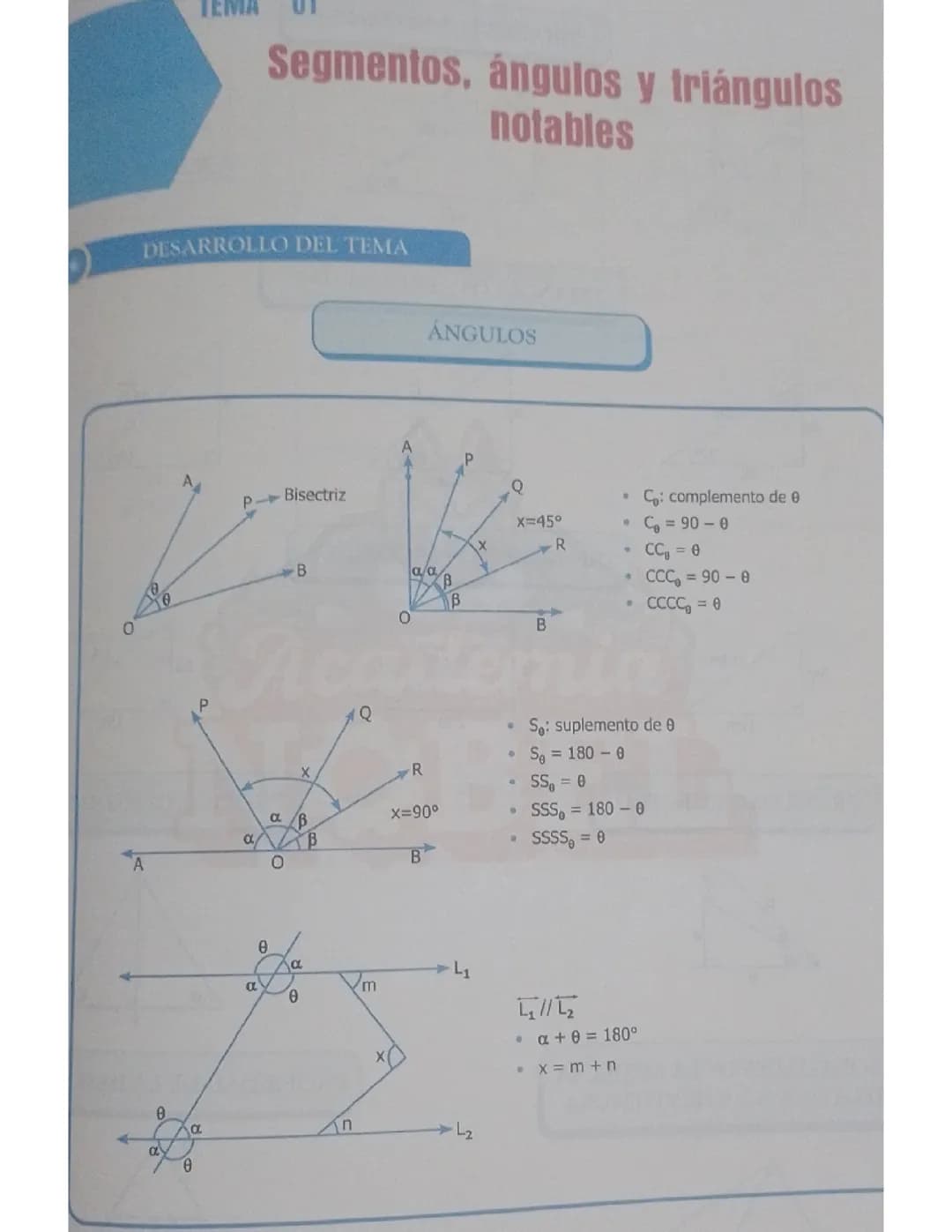 Geometría: Segmentos, Angulos y Triángulo notables
