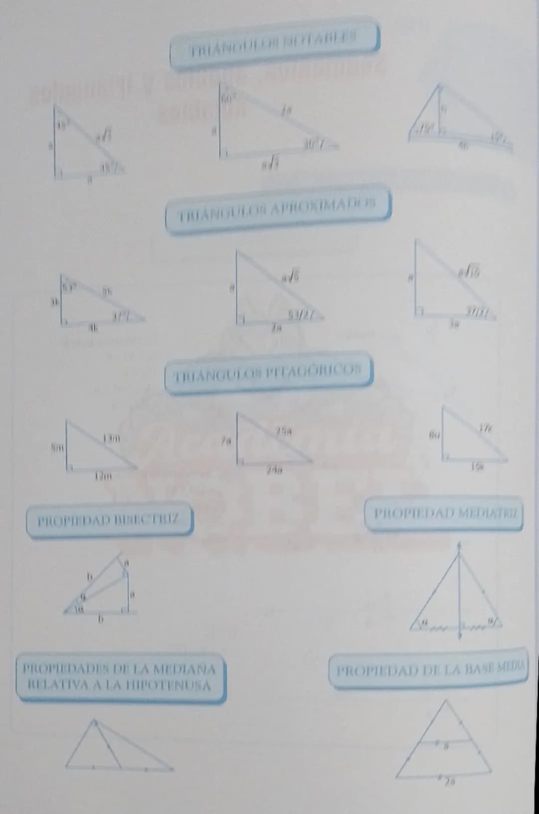 Segmentos, ángulos y triángulos
notables
DESARROLLO DEL TEMA
ANGULOS
P
Bisectriz
B
0
ανα
B
B
x
Q
X=45°
B
•
Co: complemento de
•
R
C=90-0
CC₁