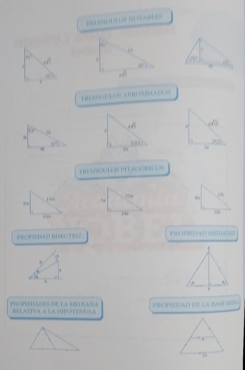 Segmentos, ángulos y triángulos
notables
DESARROLLO DEL TEMA
ANGULOS
P
Bisectriz
B
0
ανα
B
B
x
Q
X=45°
B
•
Co: complemento de
•
R
C=90-0
CC₁